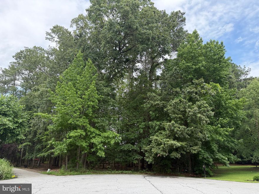 This water view cul-de-sac lot looks out over Cuckold Creek, and offers the perfect home site for a nature-lover and wildlife-watcher! Build your own natural paradise,  in a  sought-after community that offers waterfront Olympic-sized swimming pool, marina, boat ramp, playground, clubhouse with restaurant & bar, 18-hole golf course recognized as one of the top courses in the mid-Atlantic area, driving range, lighted tennis courts, pickle ball court, nature trails, picnic areas, Potomac River-front park, and more! Community activities such a book club, social club, golf clubs, yacht club, water aerobics, and more!