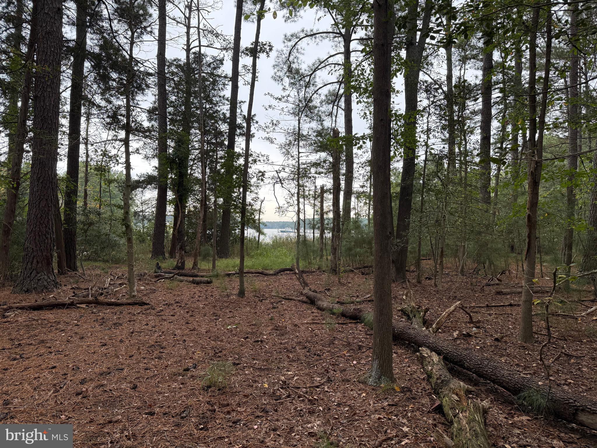 14680 BAR HARBOR COURT