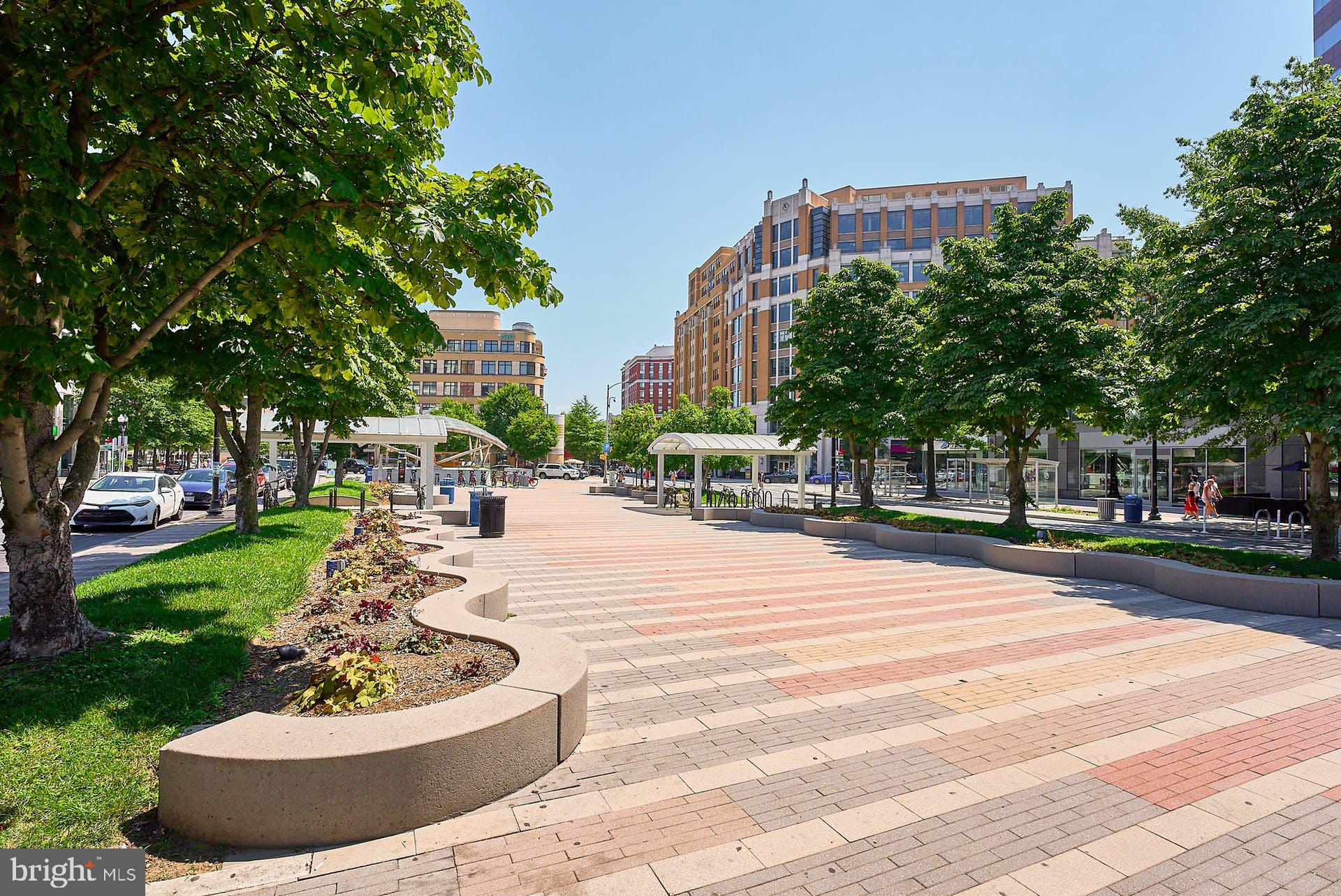 CLARENDON - Residential Lease