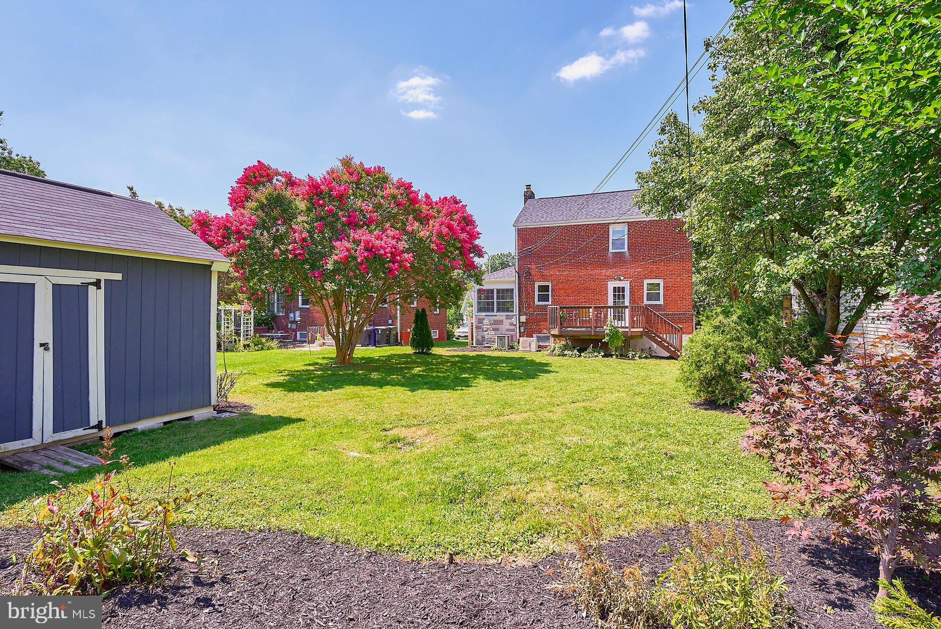 CLARENDON - Residential Lease