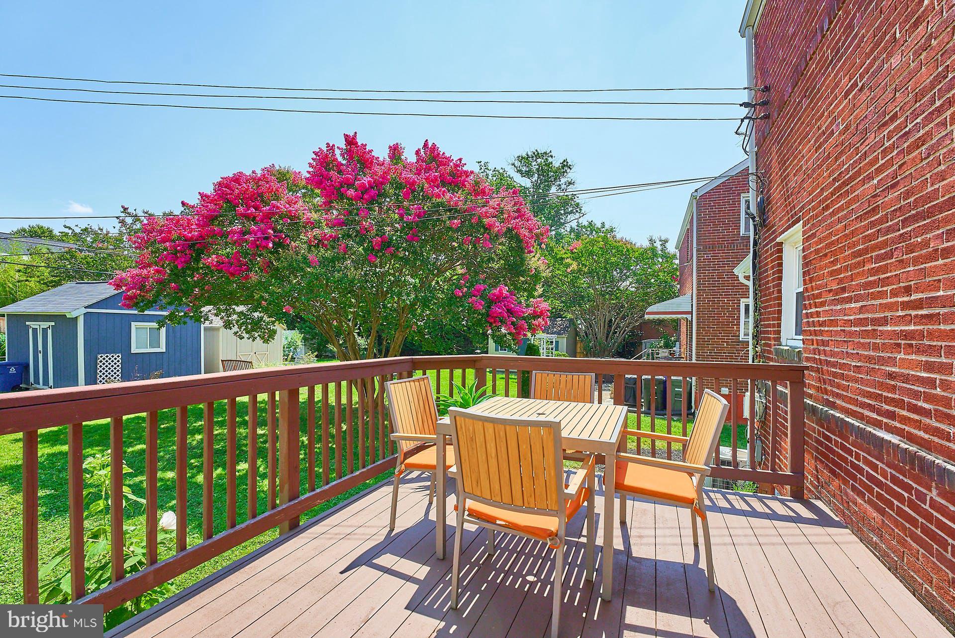 CLARENDON - Residential Lease