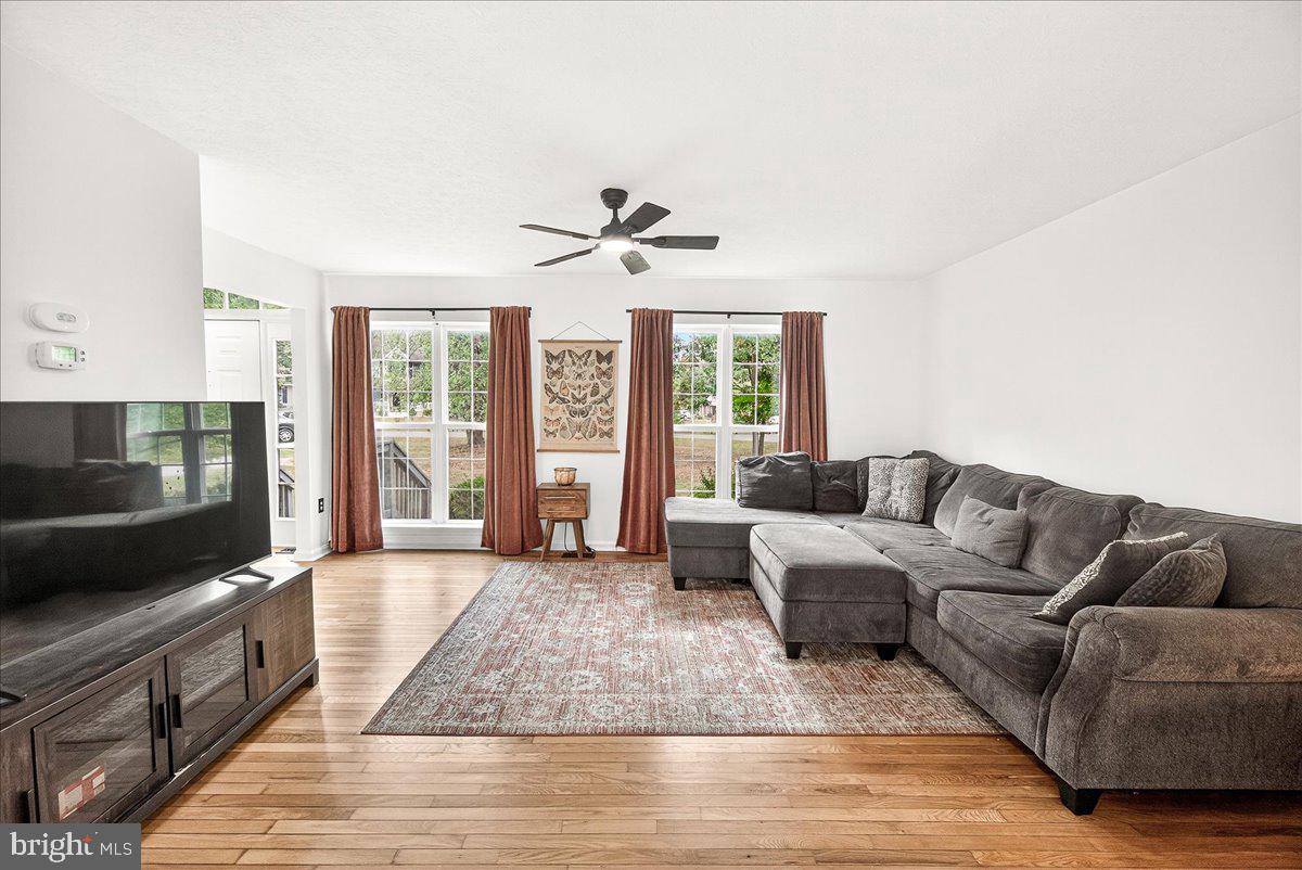 23 MANASSAS DRIVE