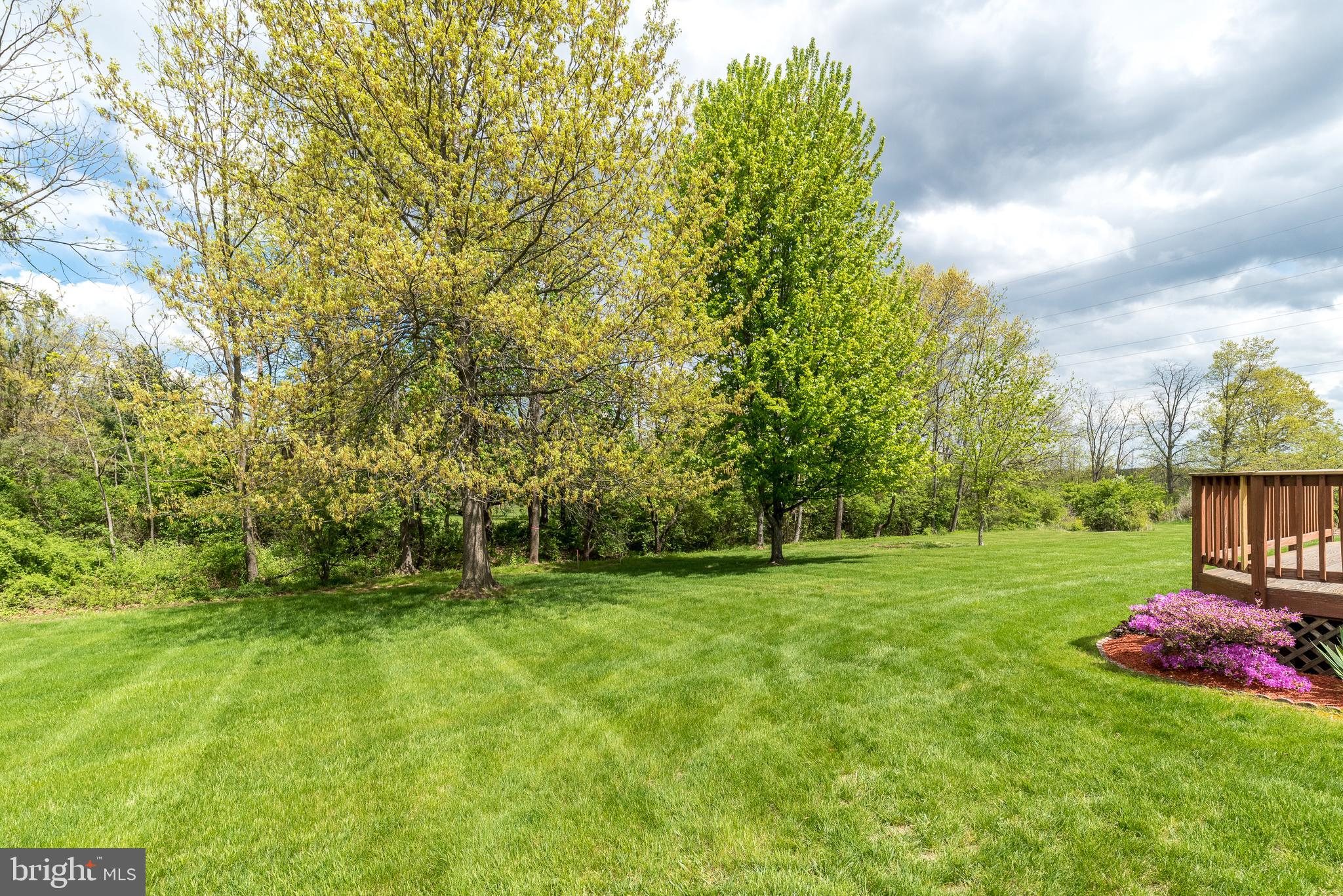 FRANCONIA HUNT - Residential