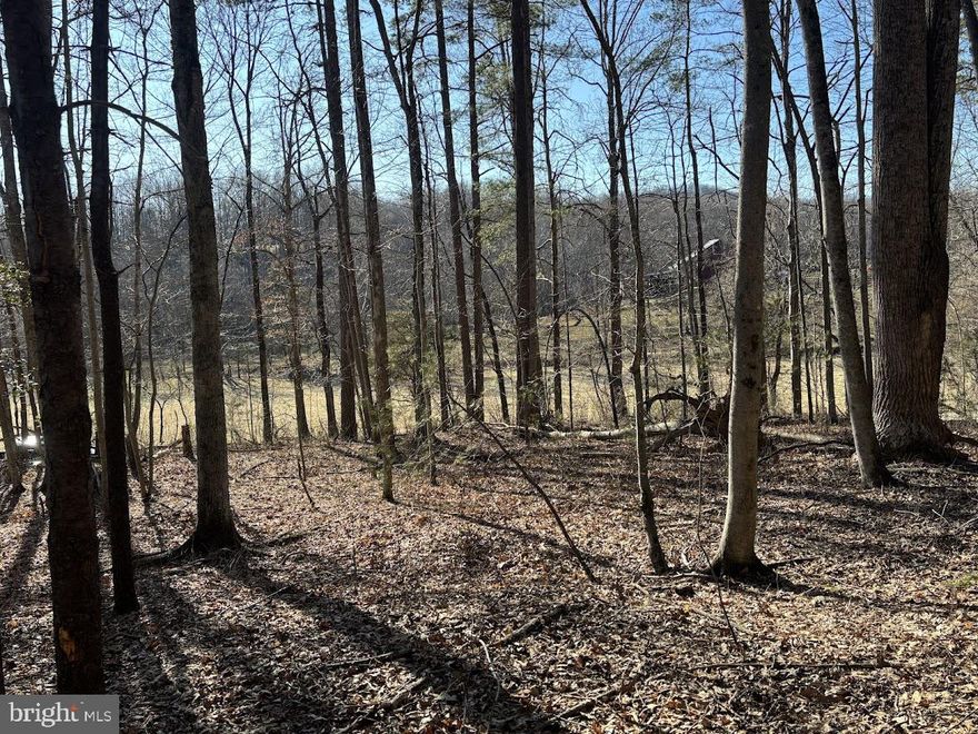 Welcome to Life out here in a very popular area in Madison County!  Where the solitude is so loud, you hear the birds sing, watch the wildlife roam on your very own private wooded lot.   This lot is full of Mature Trees that boasts a nice year-round flowing stream. This all-road frontage lot is a completed buildable lot.  Recently perc approved and just awaiting your dream home.