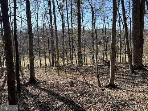 Vacant Land For Sale - TBD Duet Road<br/> MADISON, VA 22727