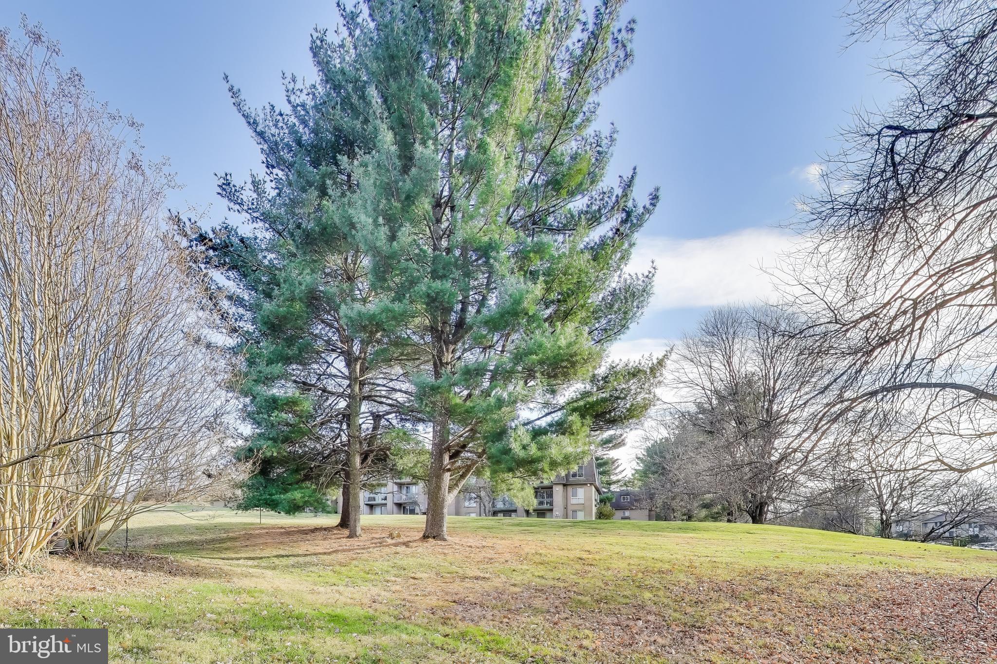 PHELPS LUCK - Residential Lease