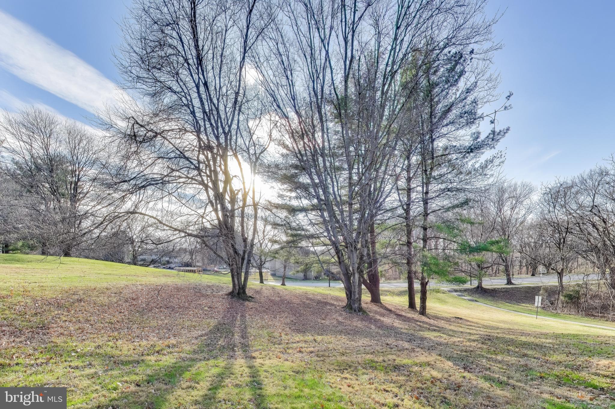 PHELPS LUCK - Residential Lease