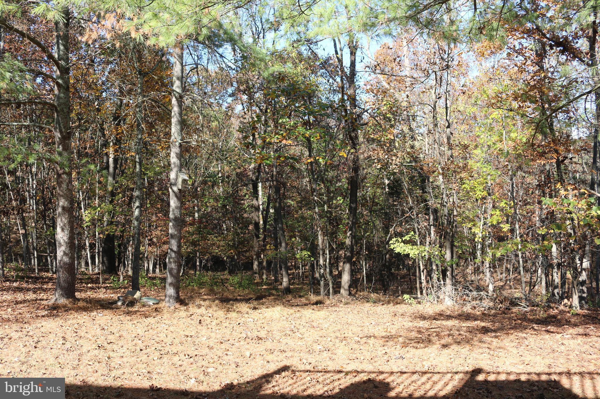 MEADOW RIDGE - Residential