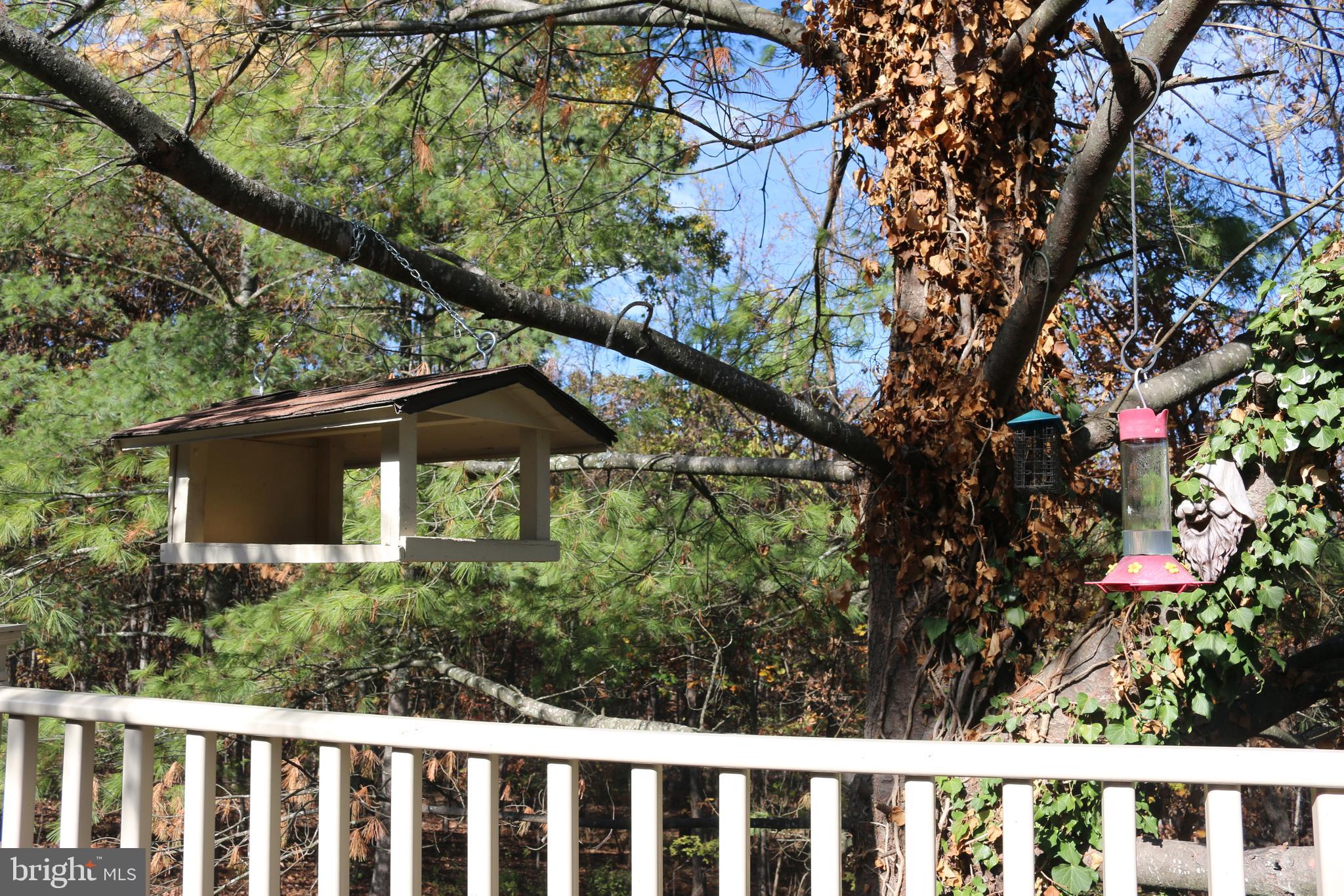 MEADOW RIDGE - Residential