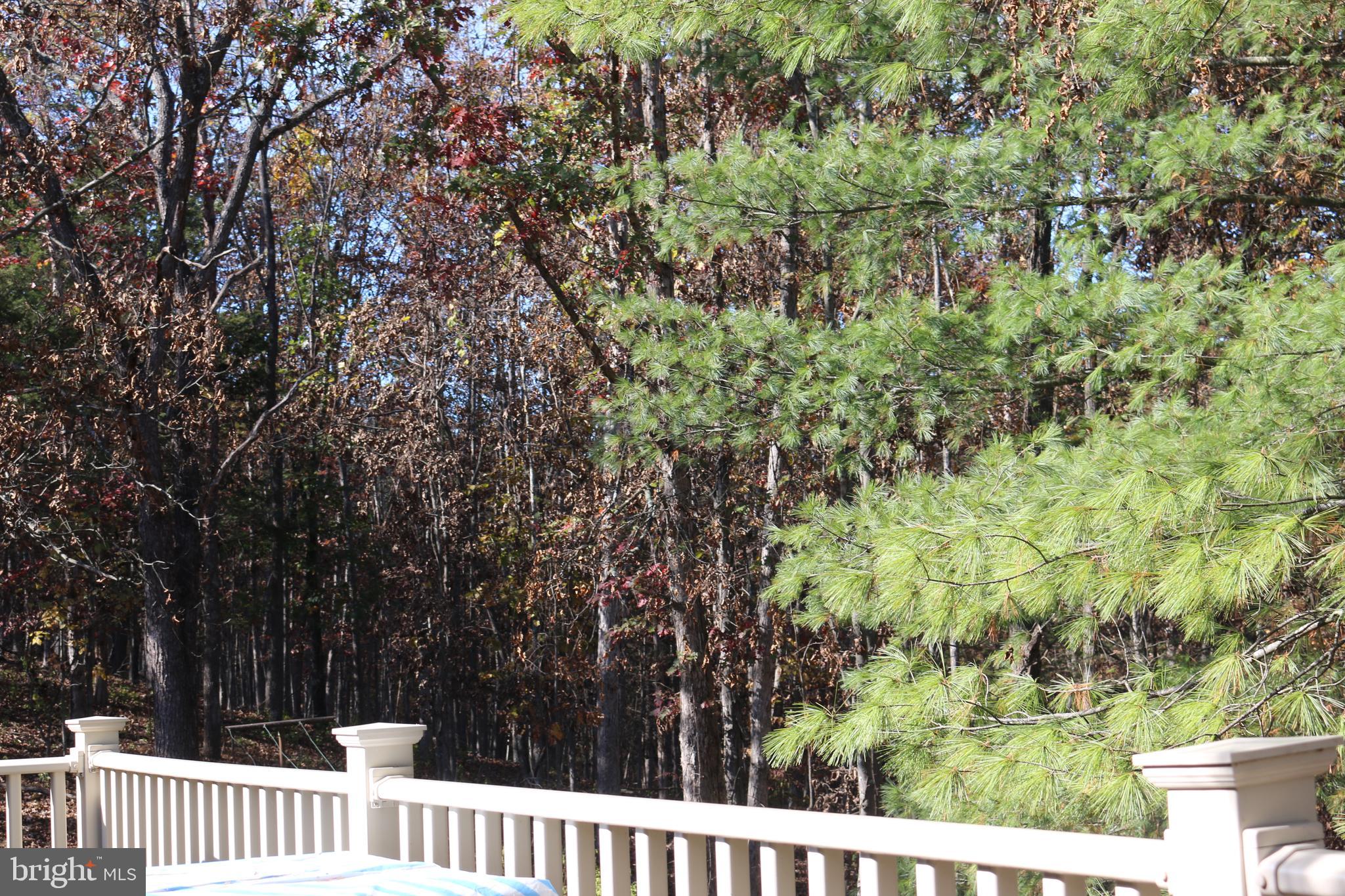 MEADOW RIDGE - Residential