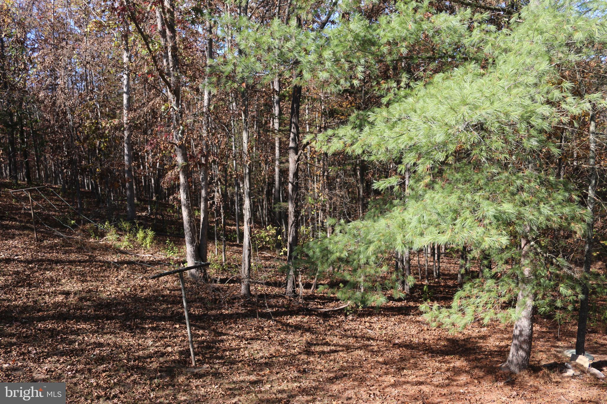 MEADOW RIDGE - Residential