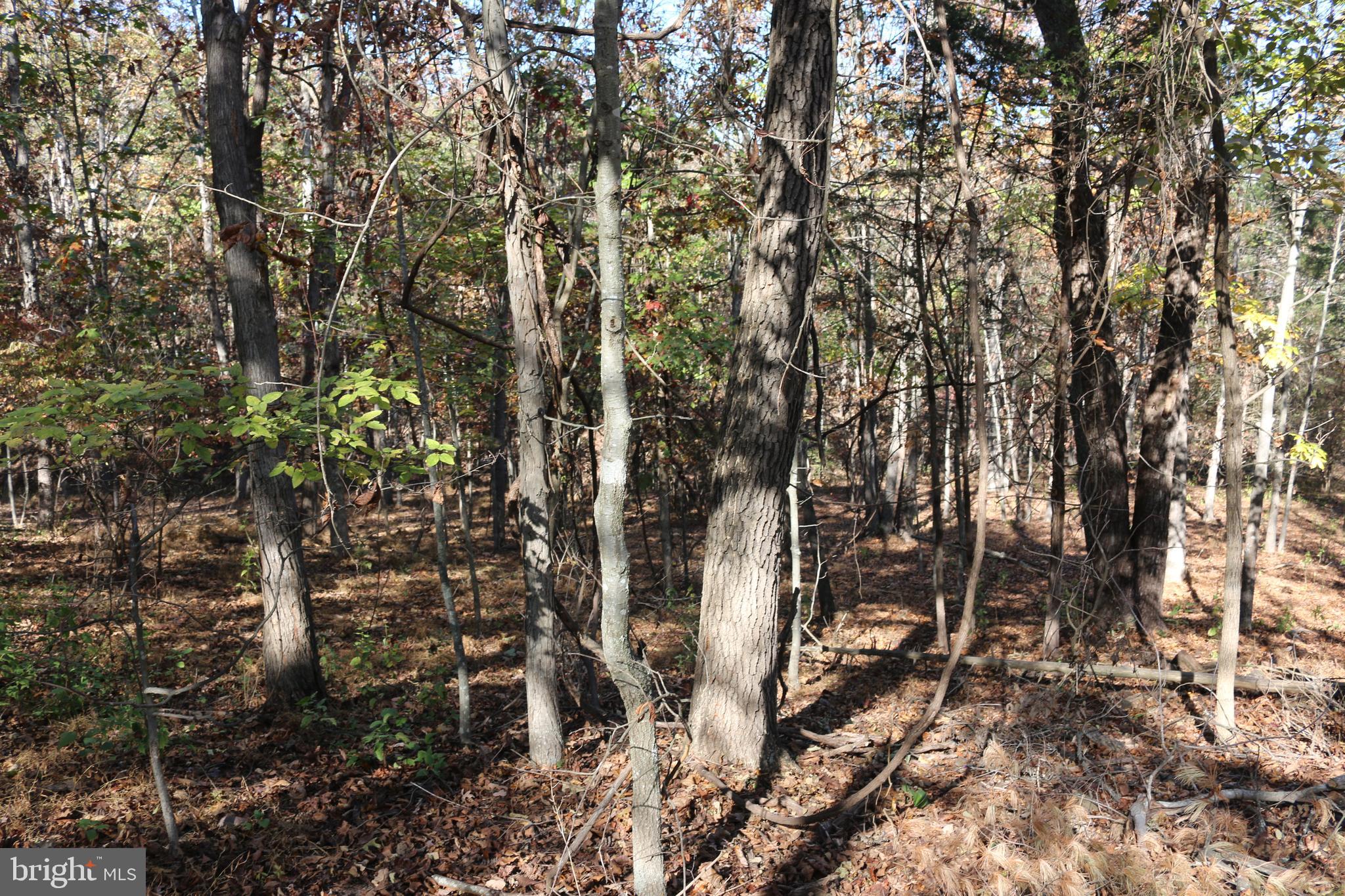 MEADOW RIDGE - Residential