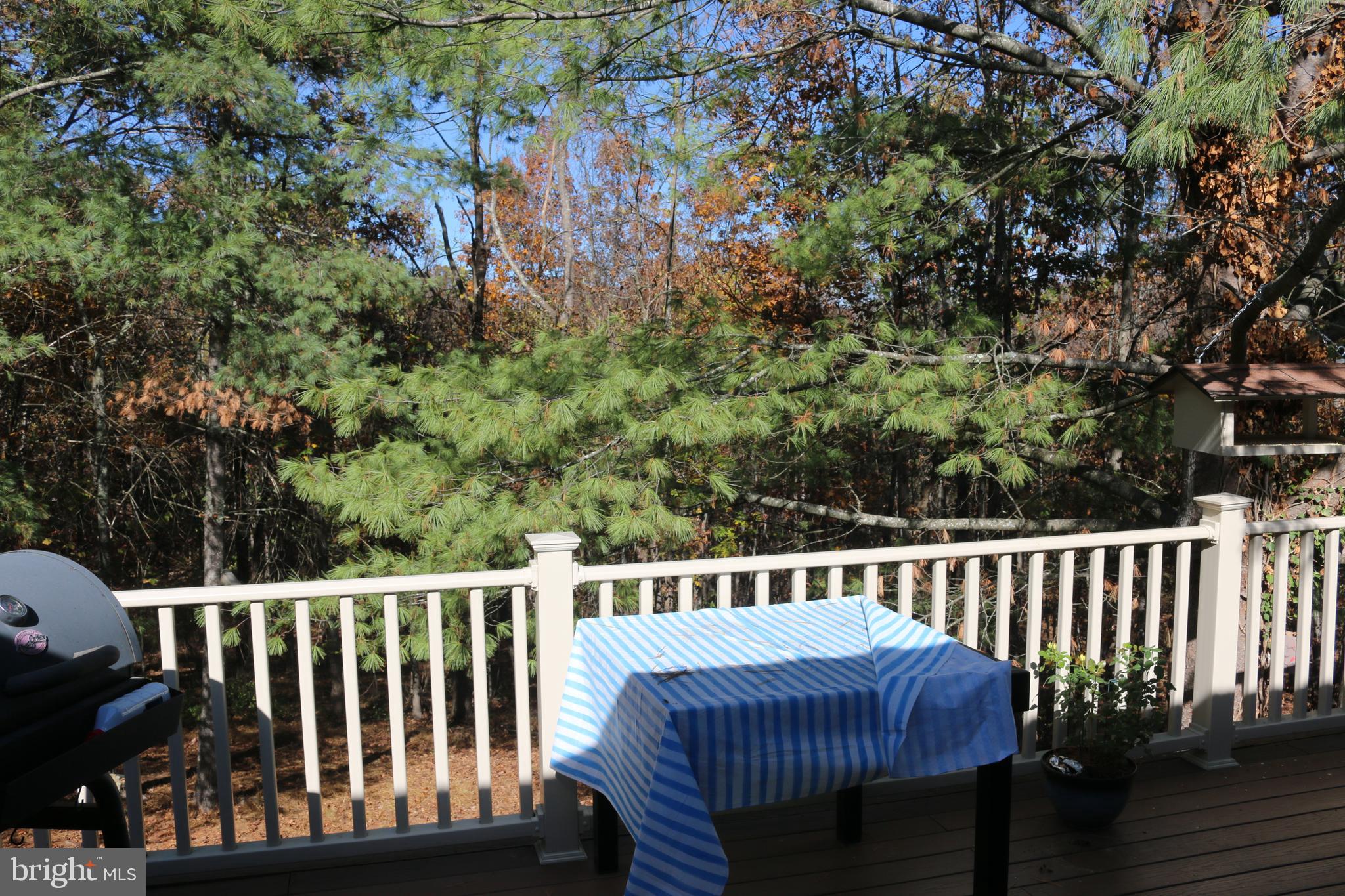 MEADOW RIDGE - Residential