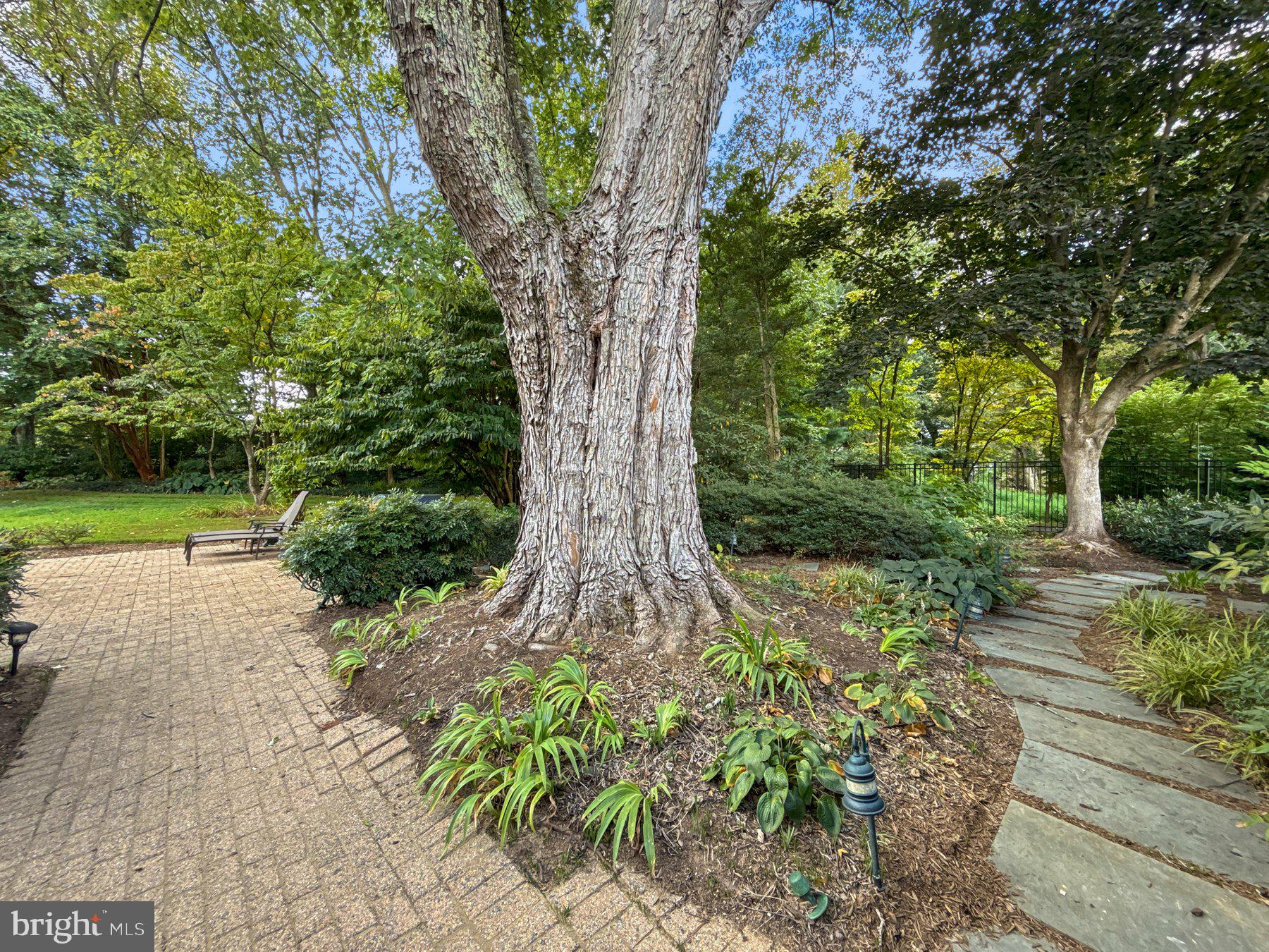 ANCIENT OAK - Residential