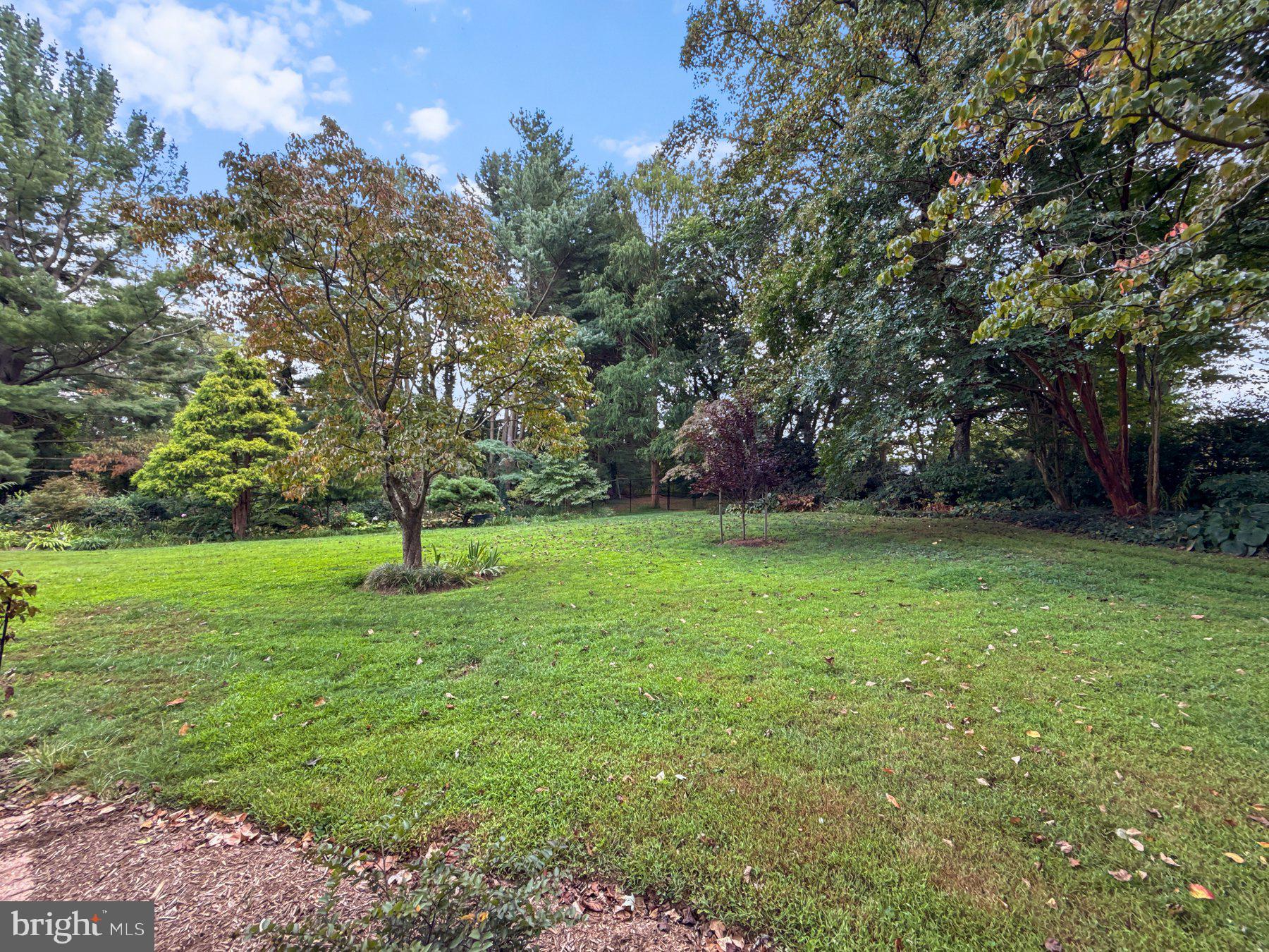 ANCIENT OAK - Residential