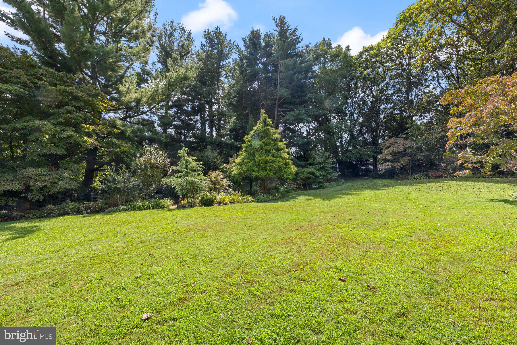 ANCIENT OAK - Residential