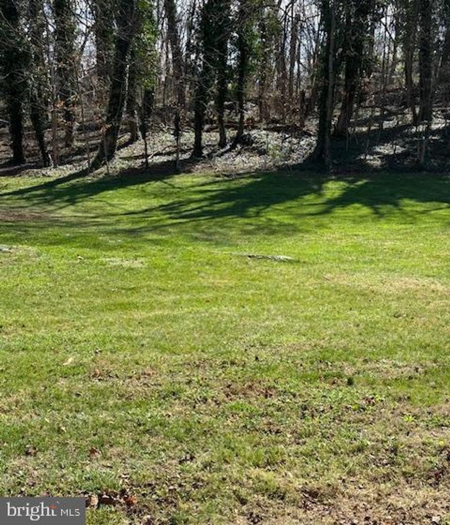 A rare opportunity,  now available, a lovely  vacant lot for sale in City of Winchester.  A prime piece of land in a fantastic location with other fine homes nearby.  Attractive front yard, lot slopes up towards rear offering lots of shade.     0.62 Acres with 75 feet of Fairmont Avenue road frontage and a depth of 397 feet.   Access from Fairmont Avenue and also access from Braddock Street in rear.   A golden opportunity for investors or anyone looking to build their dream home.