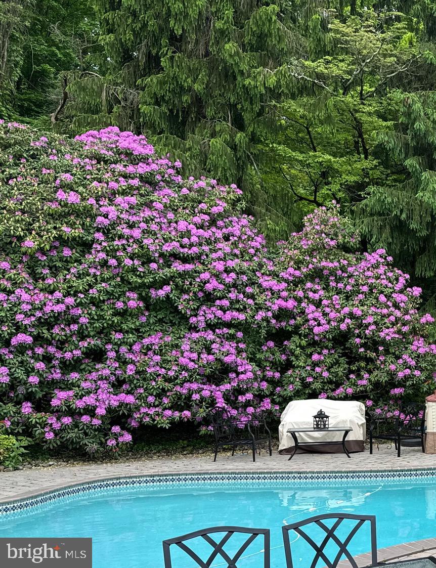 SHAND TRACT - Residential