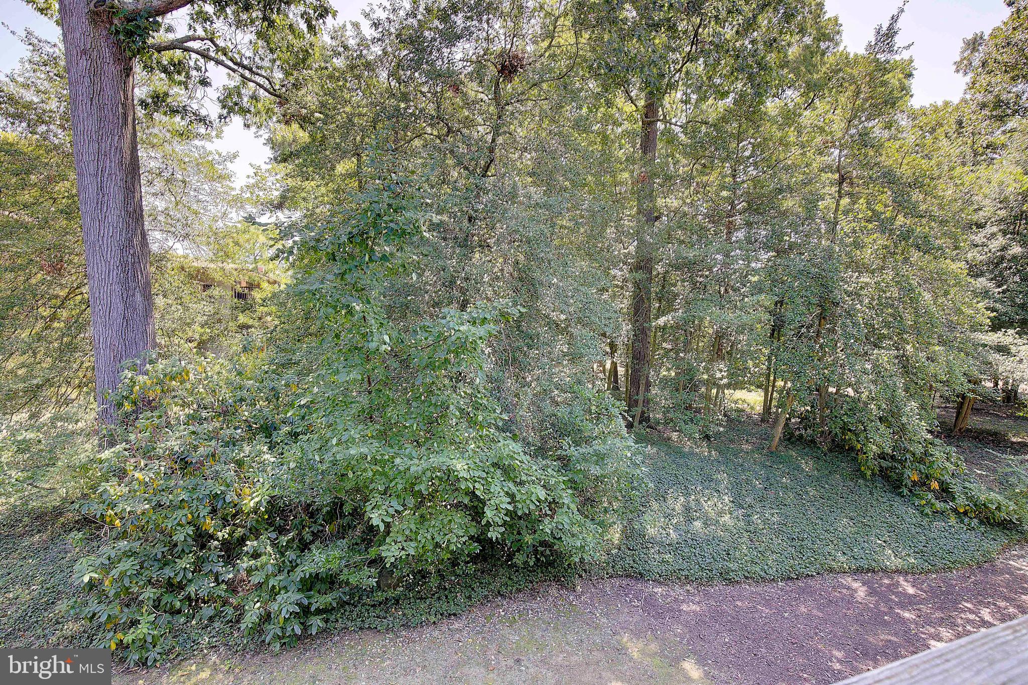 SEVERN HOUSE - Residential