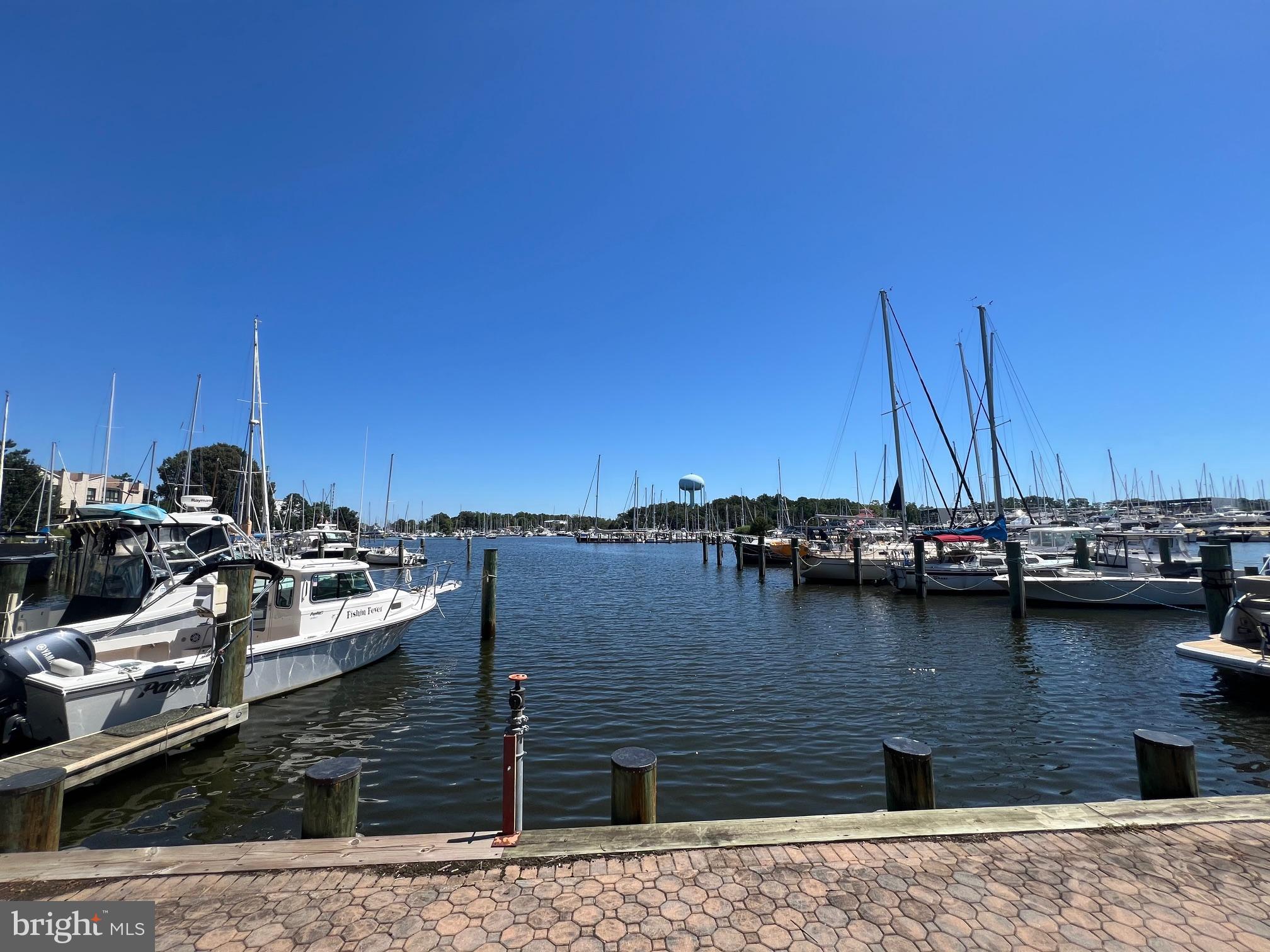 SEVERN HOUSE - Residential