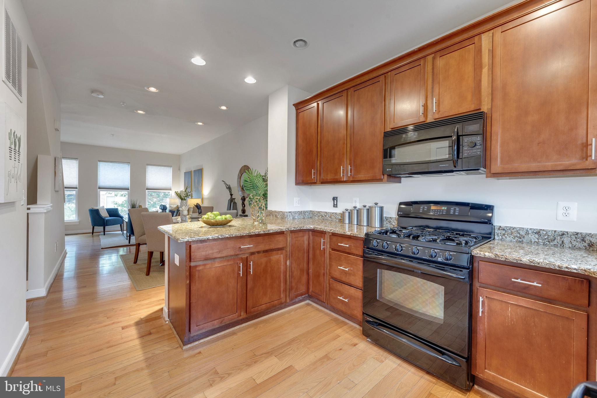 ARTS DISTRICT HYATTSVILLE - Residential