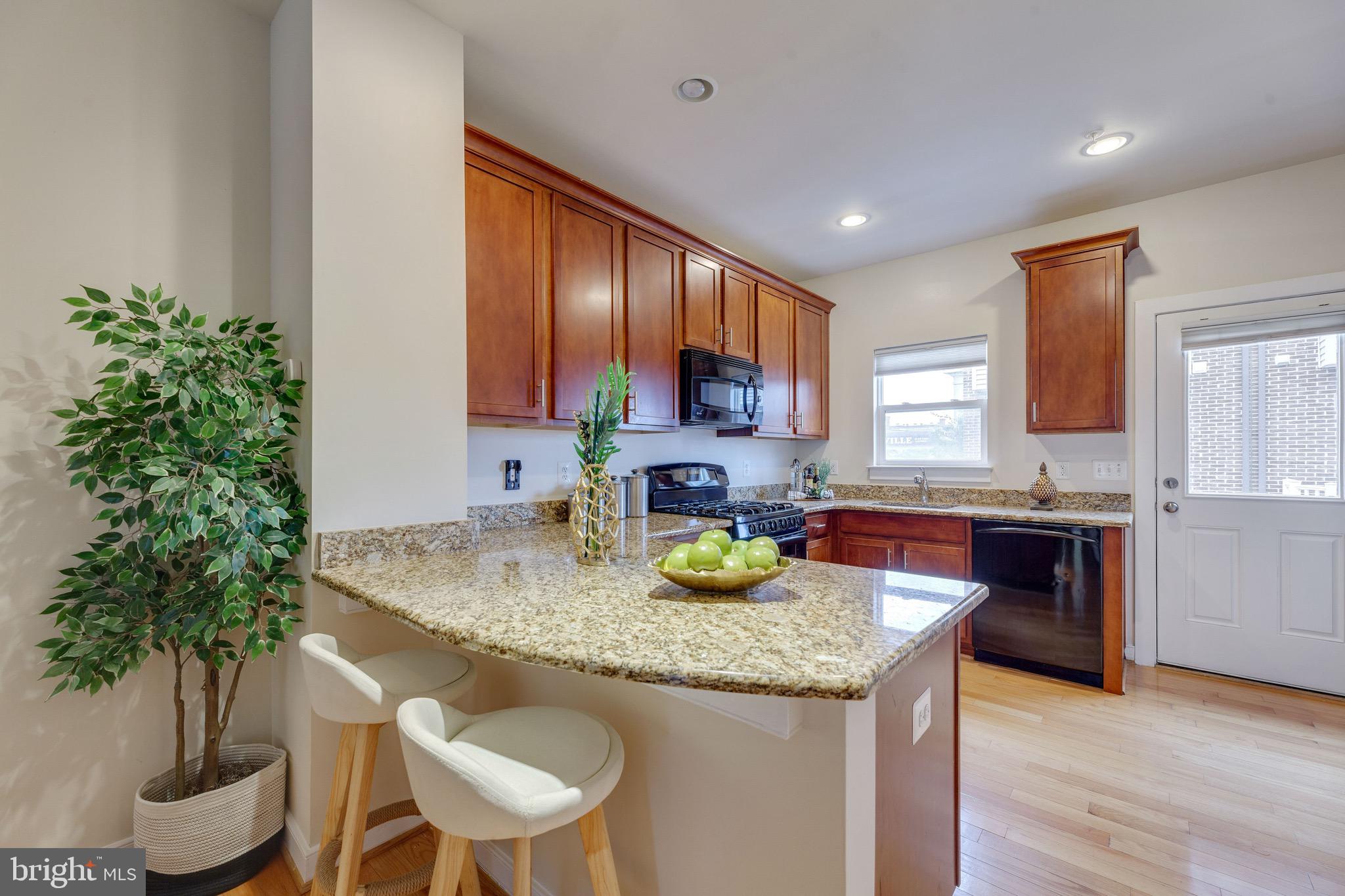 ARTS DISTRICT HYATTSVILLE - Residential