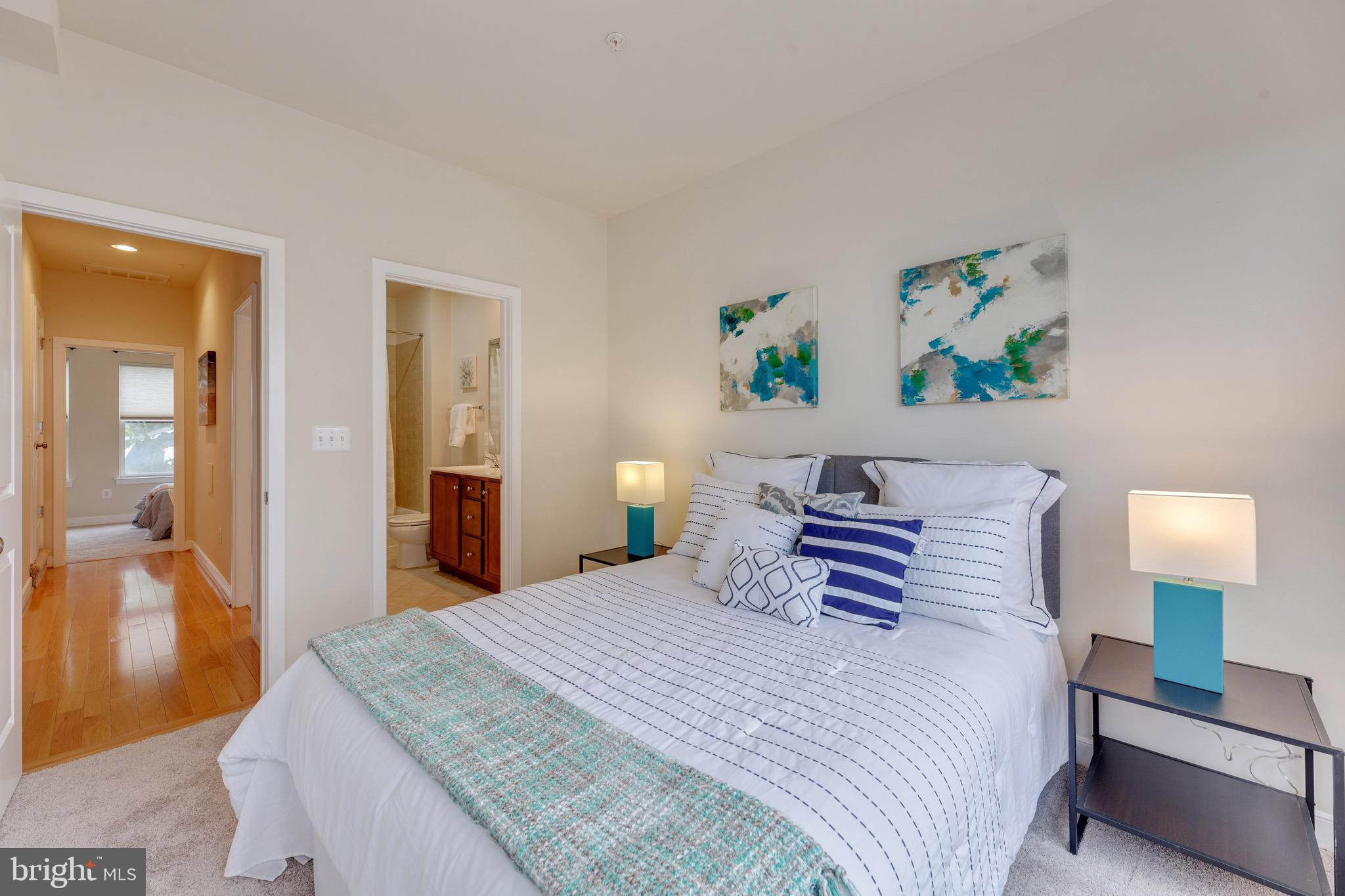 ARTS DISTRICT HYATTSVILLE - Residential