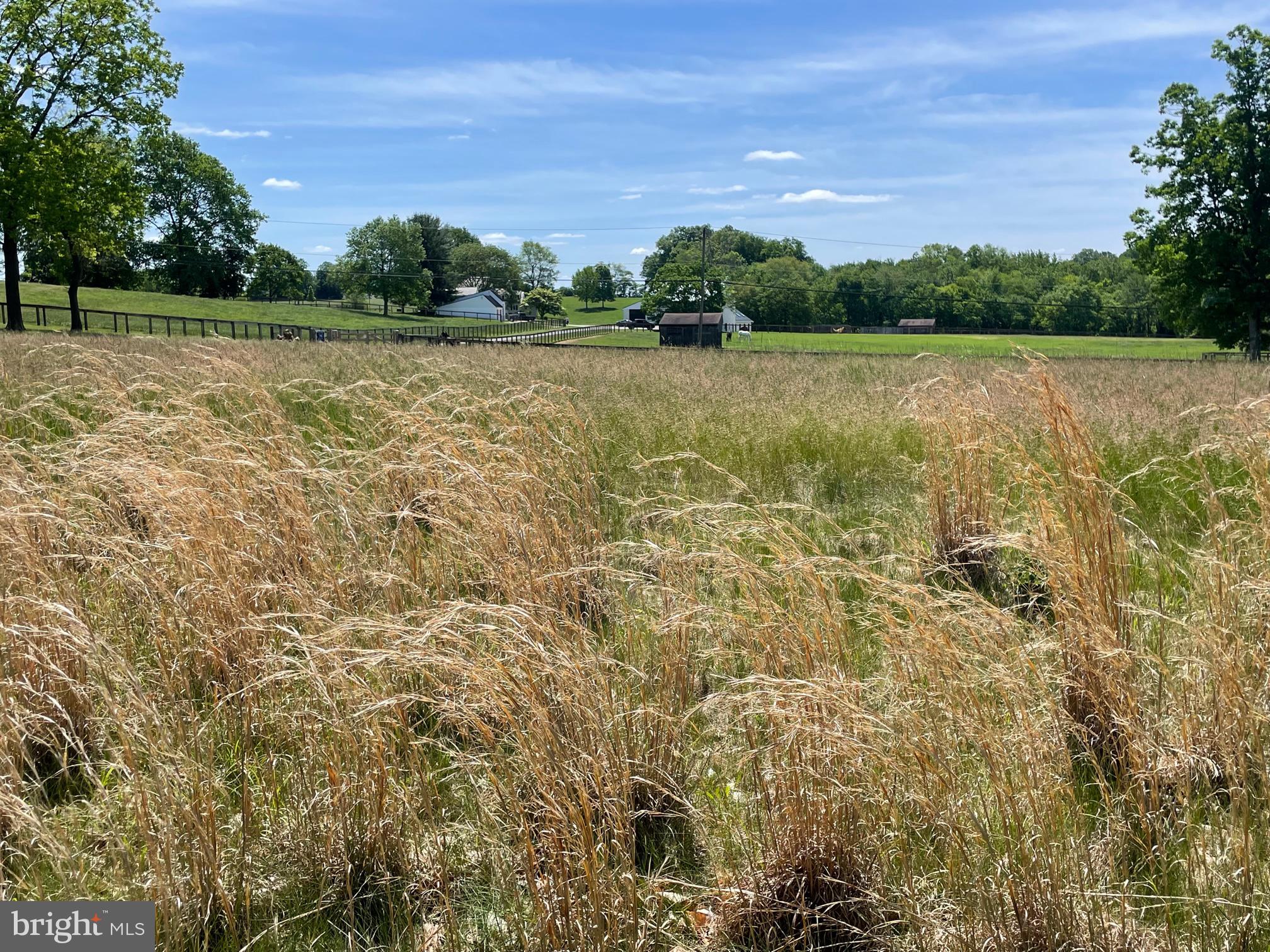 RADNOR HUNT - Residential