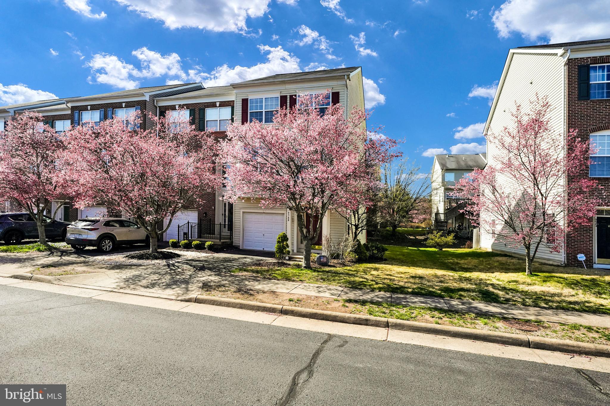 BRAEMAR - Residential