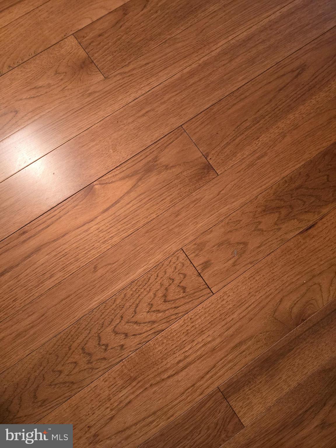 FOREST MEADOWS - Residential