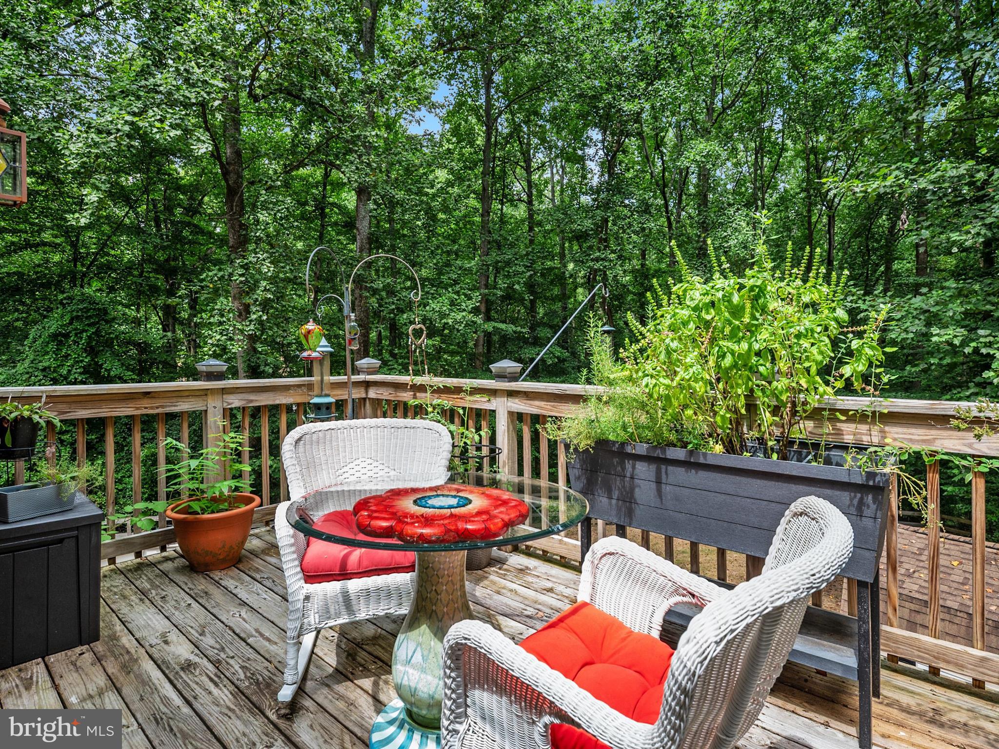 THE WOODS - Residential