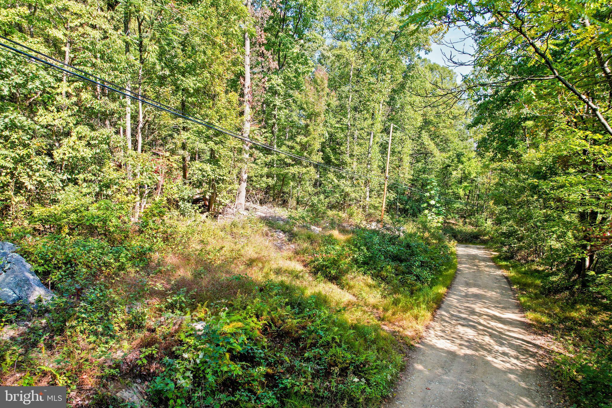 This property is perfect for a recreational property, camping trailer permitted. It is full of mature trees and minutes from Route 9 and Interstate I81, off the Hedgesville exit which is mid-way between the Maryland and Virginia state lines. Note, a small portion of this property is on the left side of Short Mountain. See map for details. This parcel is located in the Spruce Pine Hollow subdivision, unfortunately, mobile homes are not permitted. In September 2024 this parcel perked for a Class II septic system, the Wisconsin Sand Mound only due to rock and water table. For more details call now!