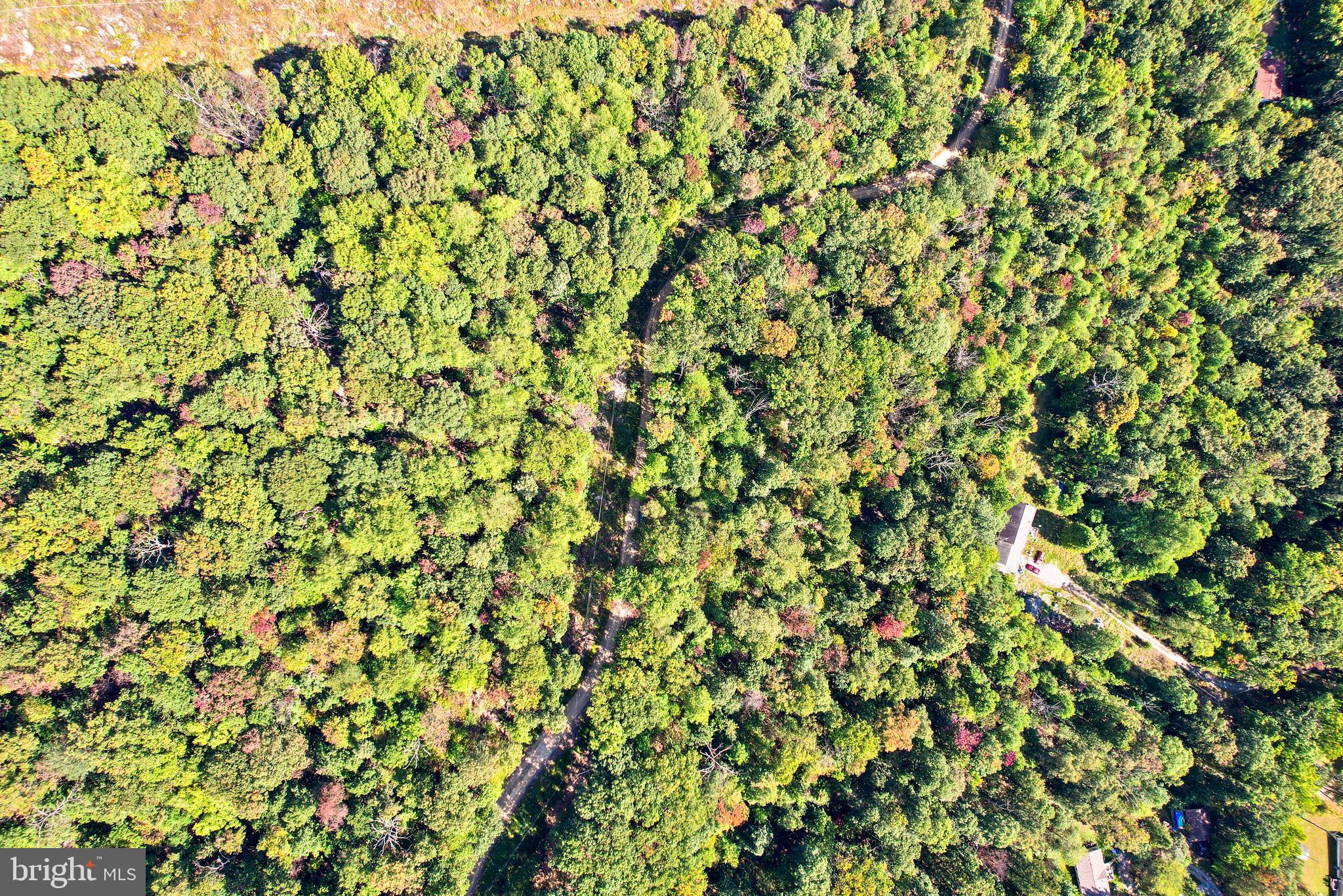 SPRUCE PINE HOLLOW - Land