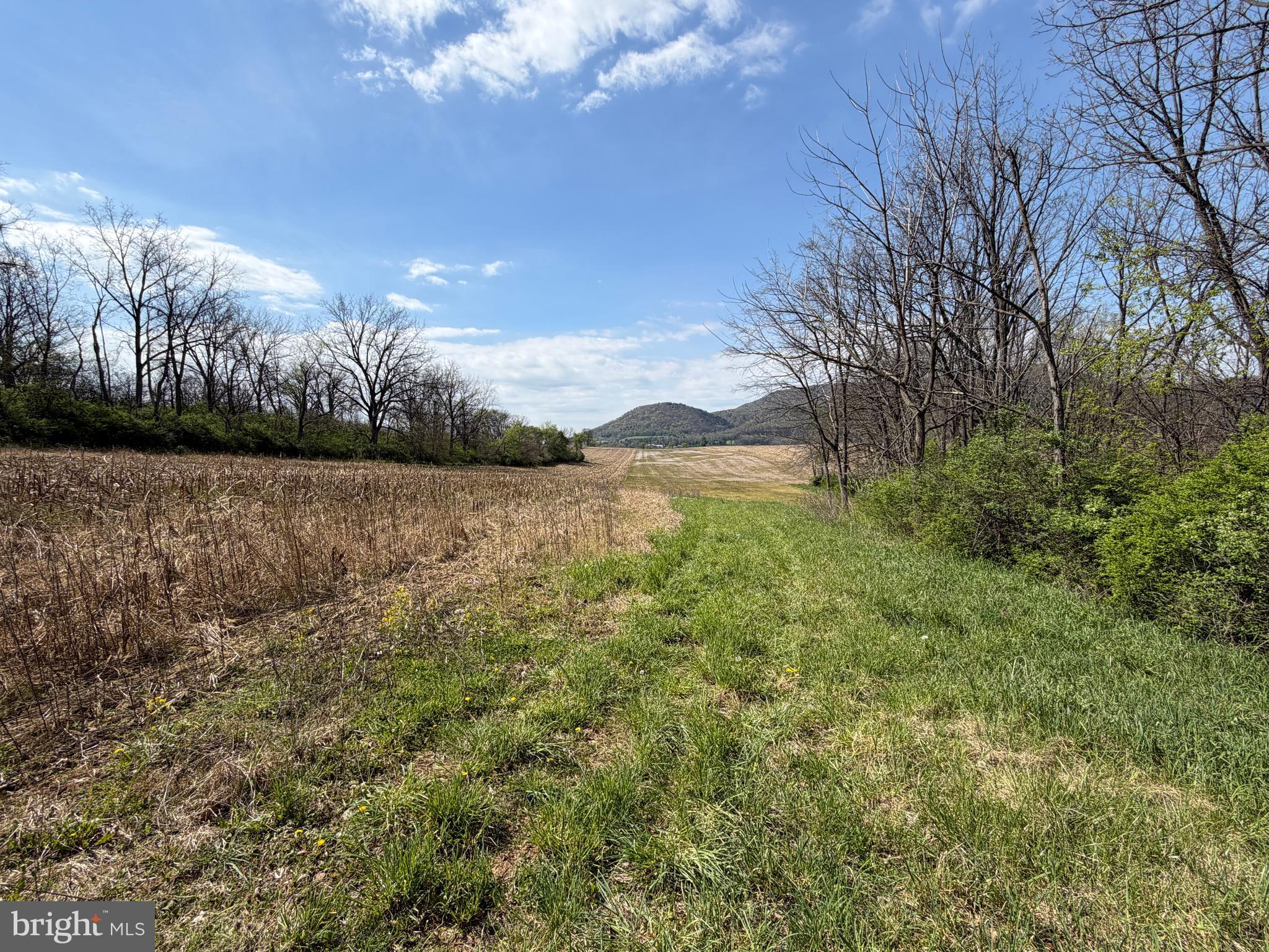 NONE AVAILABLE - Farm