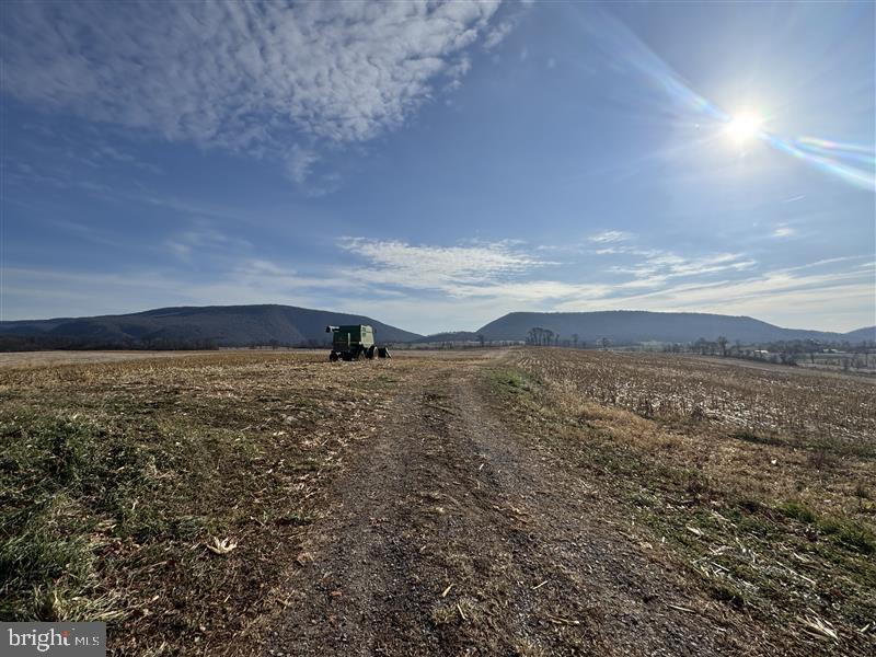 NONE AVAILABLE - Farm