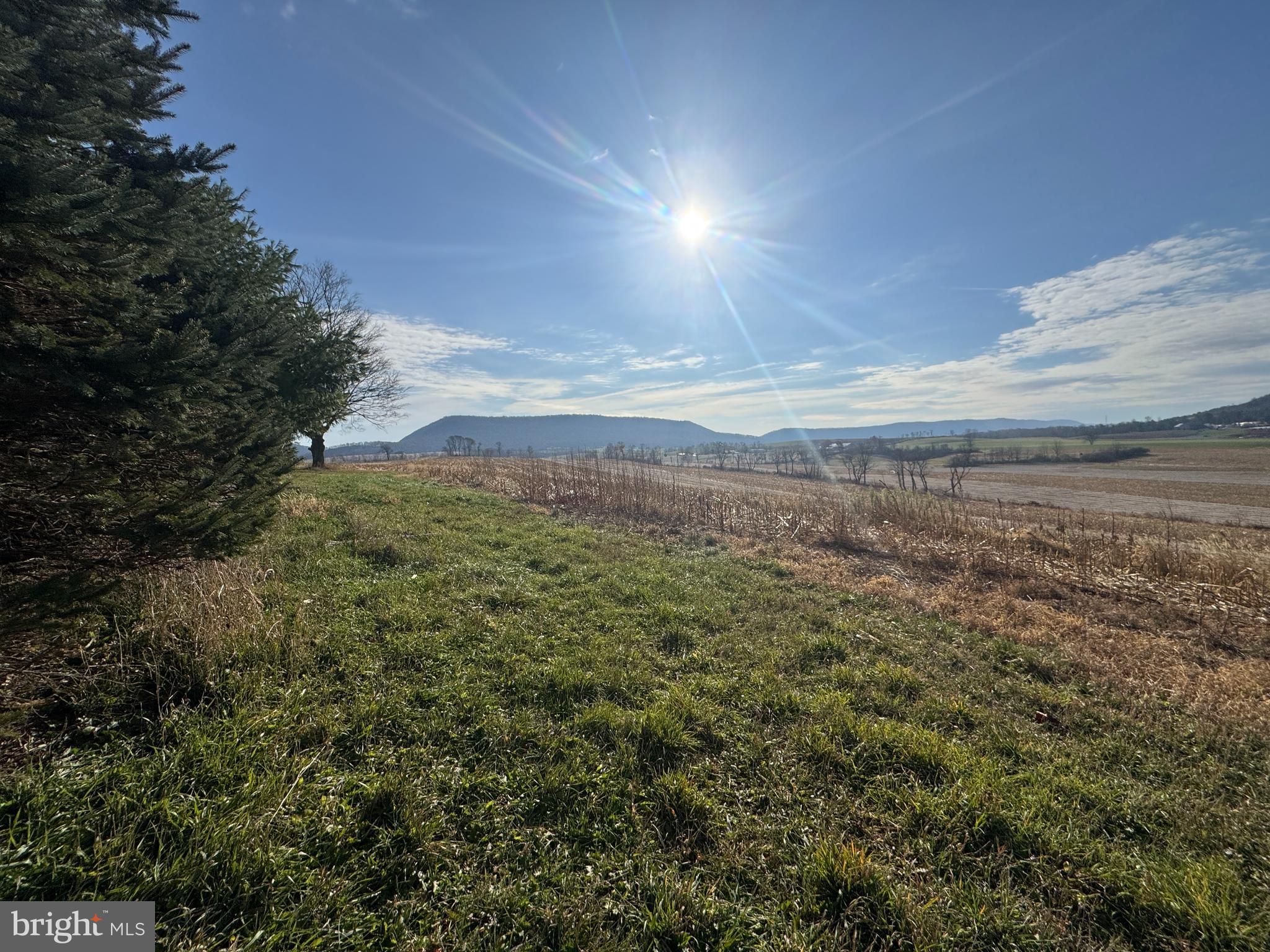 NONE AVAILABLE - Farm