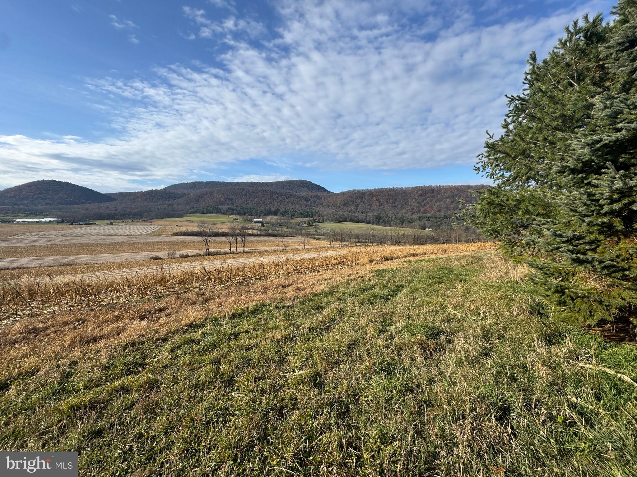 NONE AVAILABLE - Farm