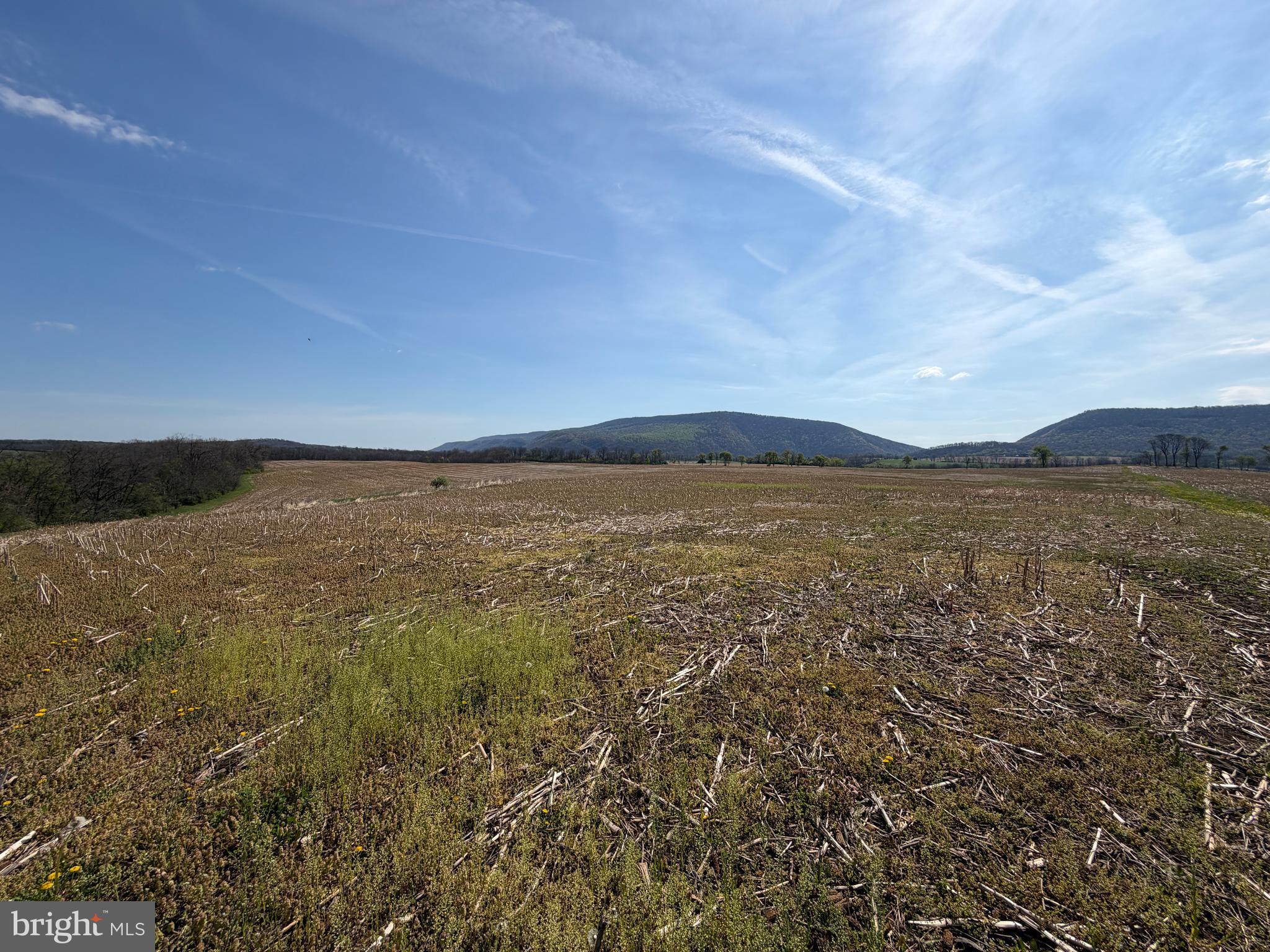 NONE AVAILABLE - Farm