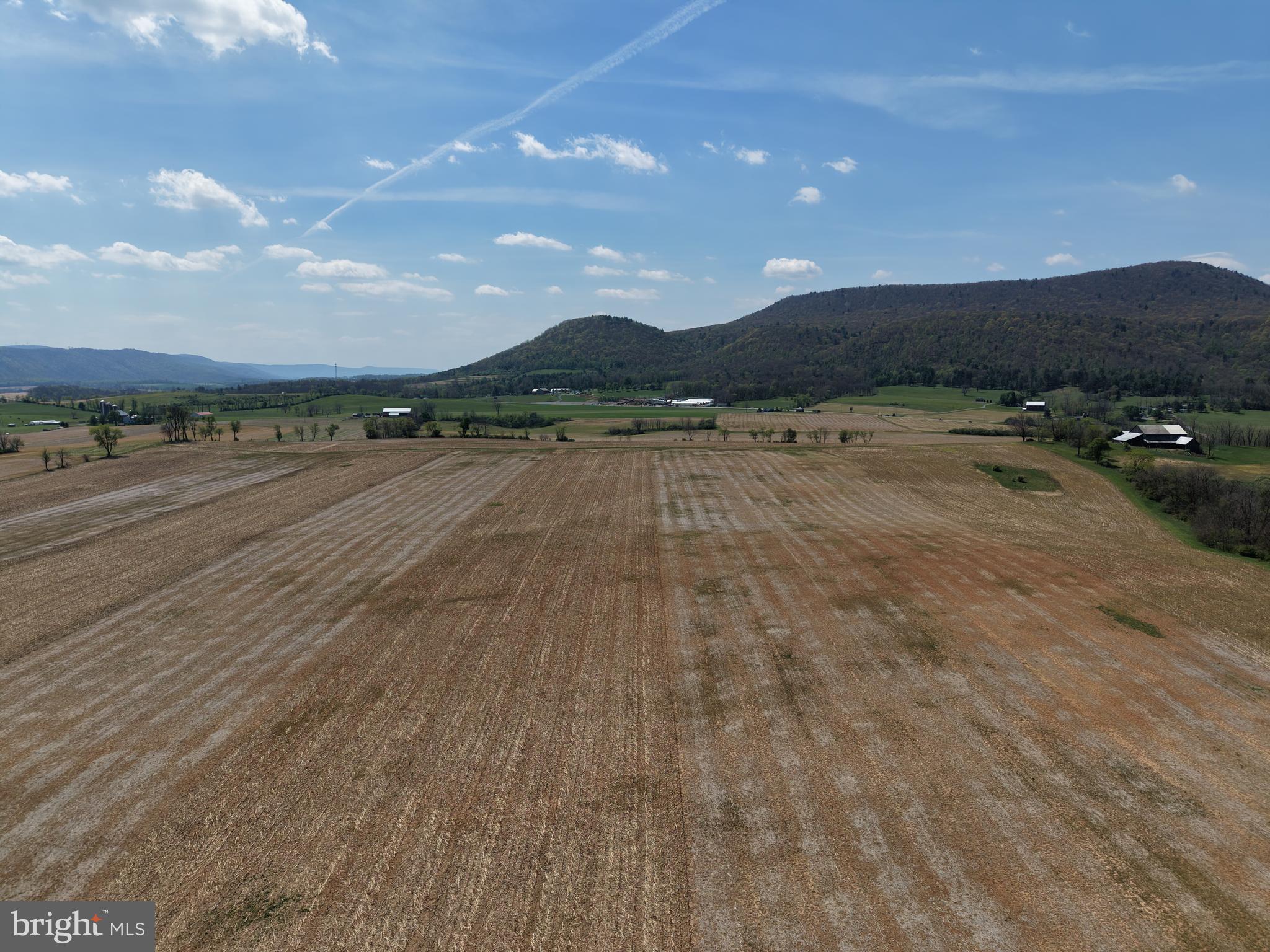 NONE AVAILABLE - Farm