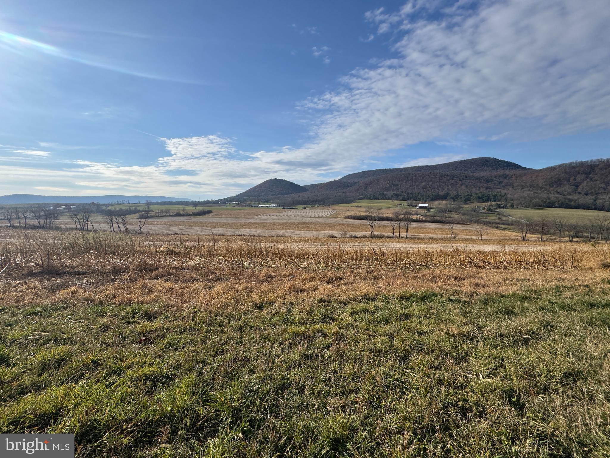 NONE AVAILABLE - Farm