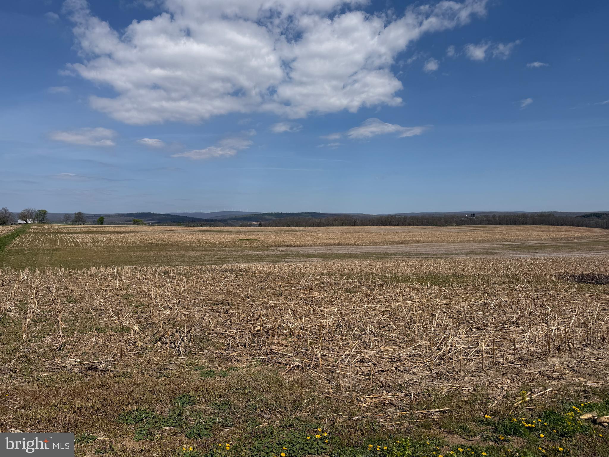 NONE AVAILABLE - Farm