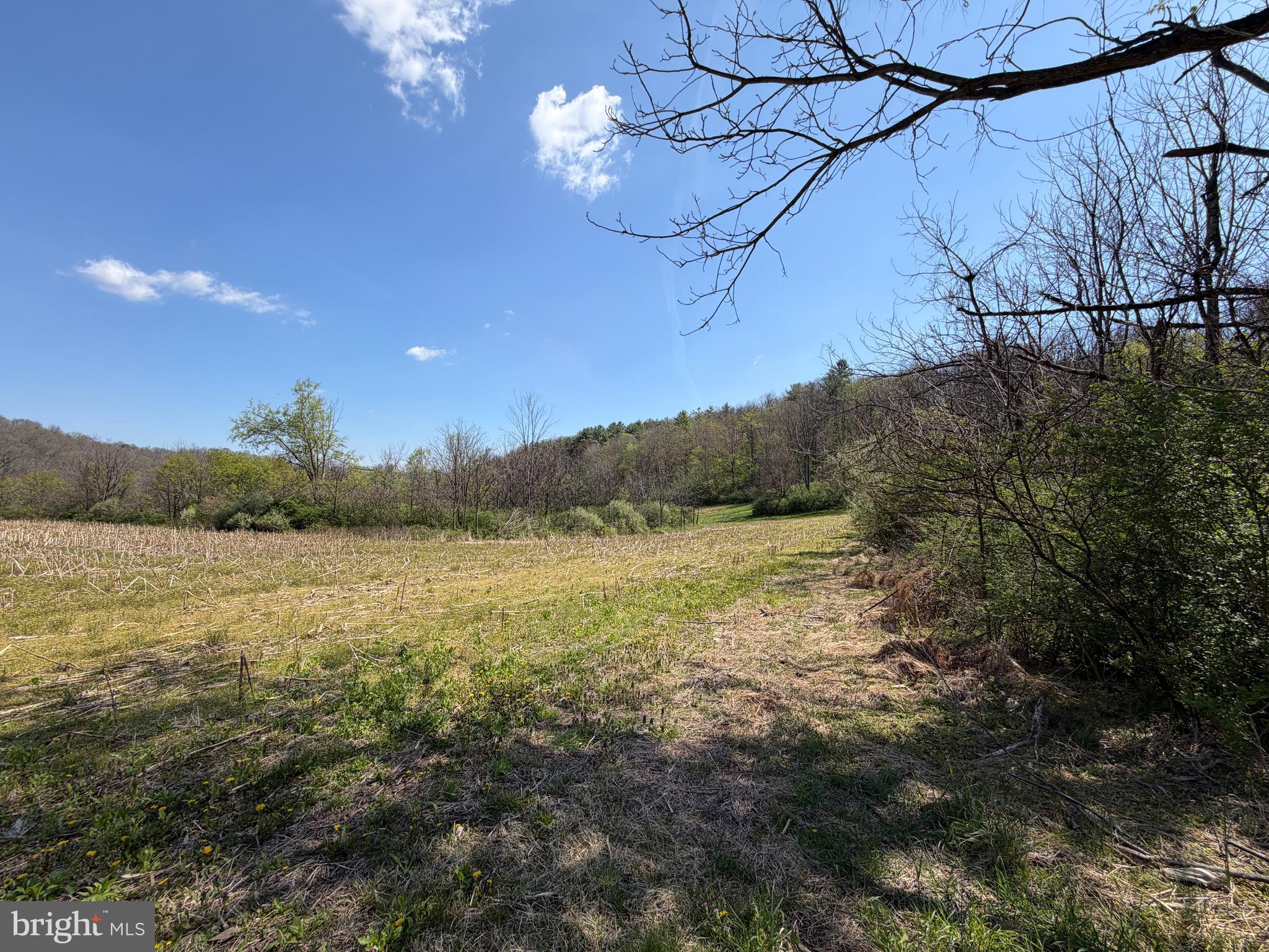 NONE AVAILABLE - Farm