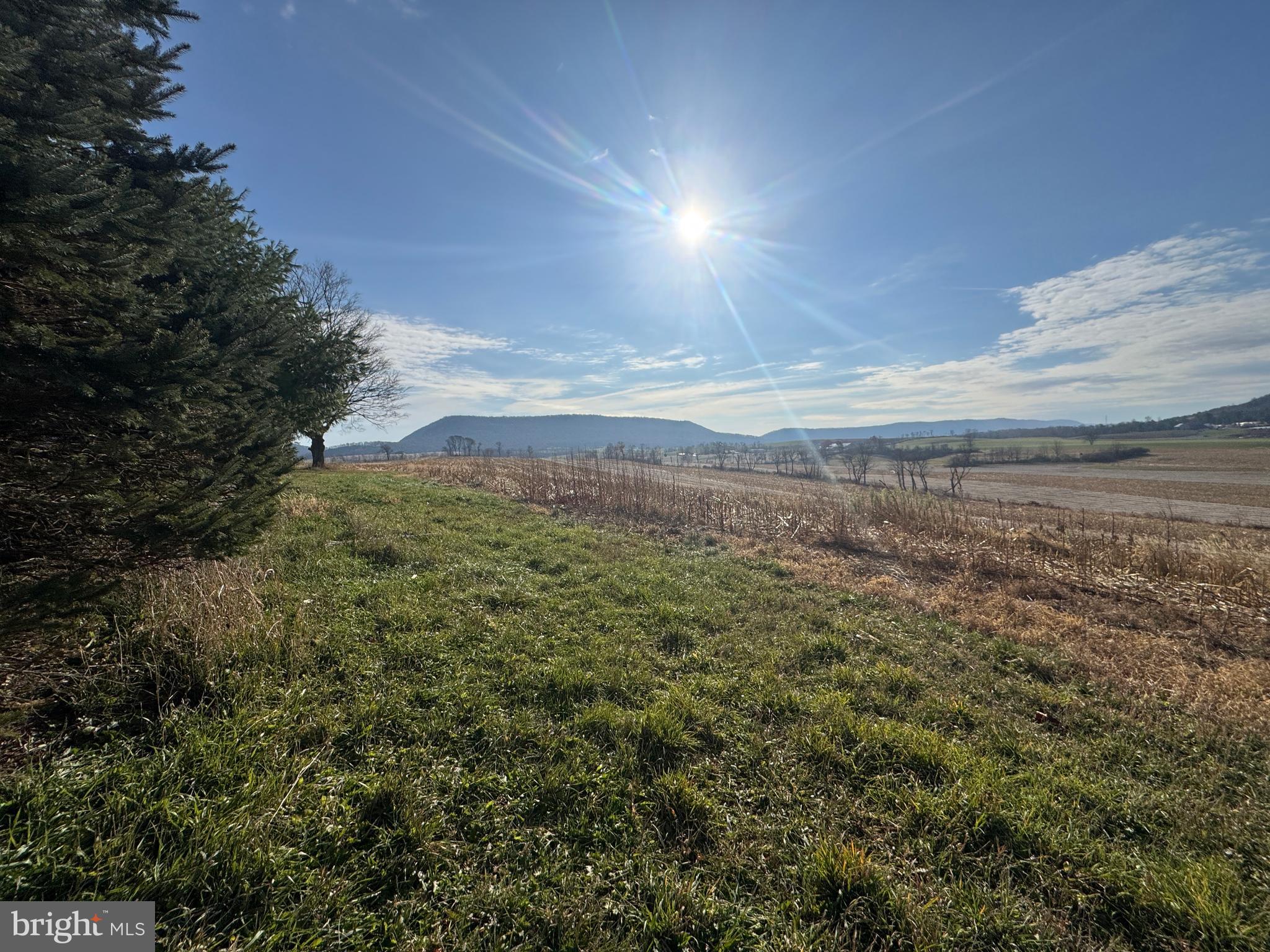 NONE AVAILABLE - Farm