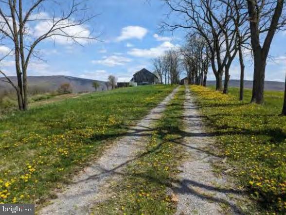 NONE AVAILABLE - Farm