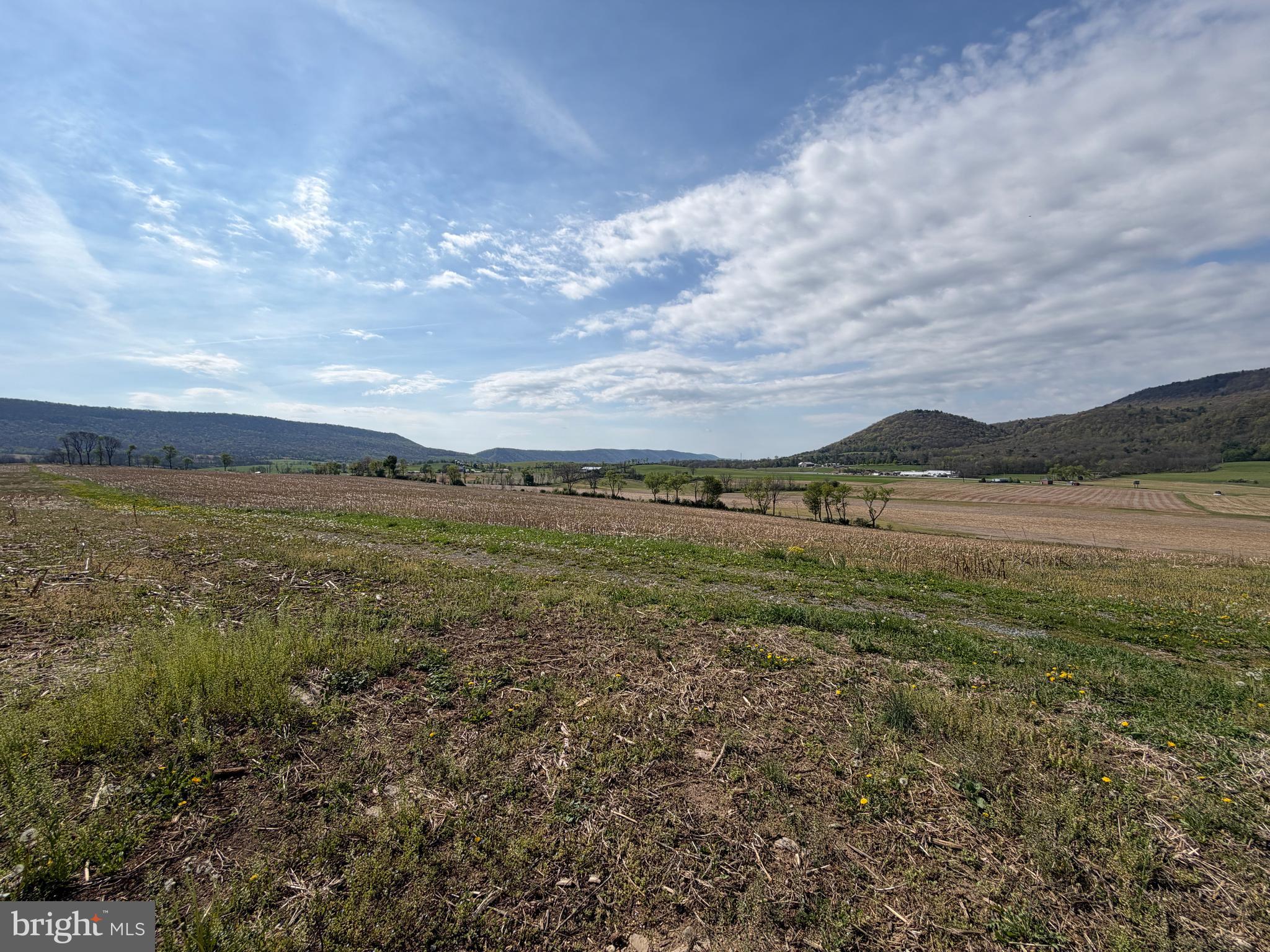 NONE AVAILABLE - Farm