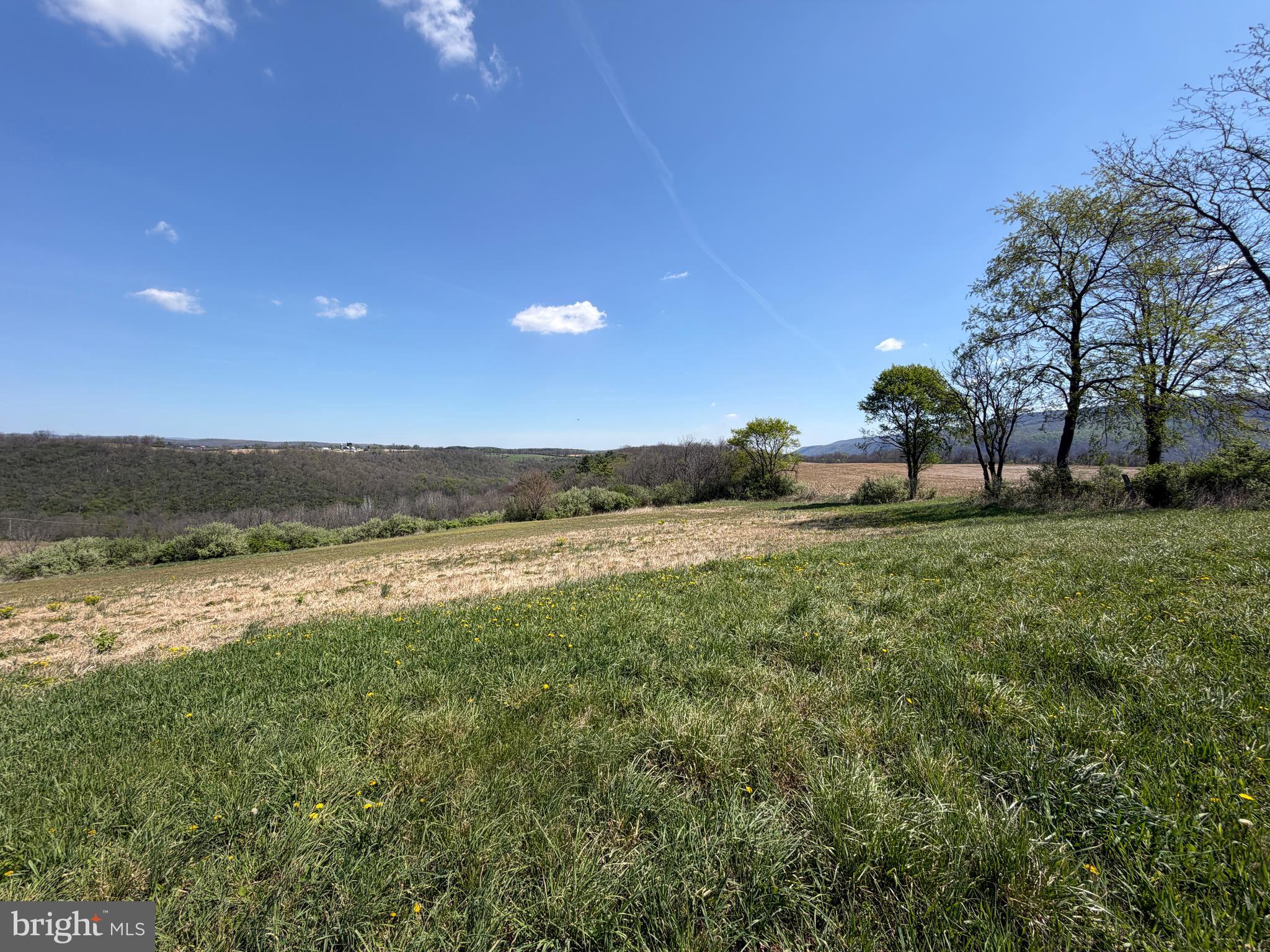 NONE AVAILABLE - Farm