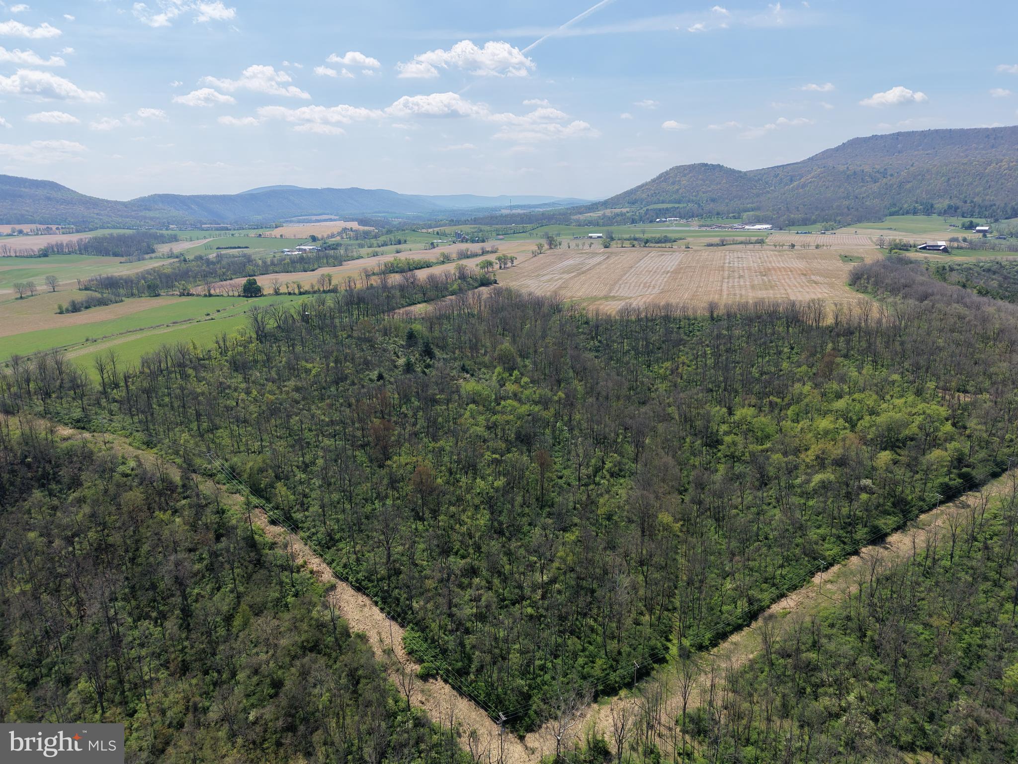 NONE AVAILABLE - Farm