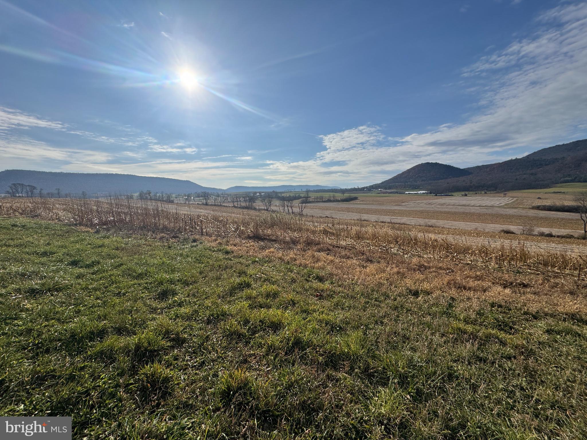 NONE AVAILABLE - Farm