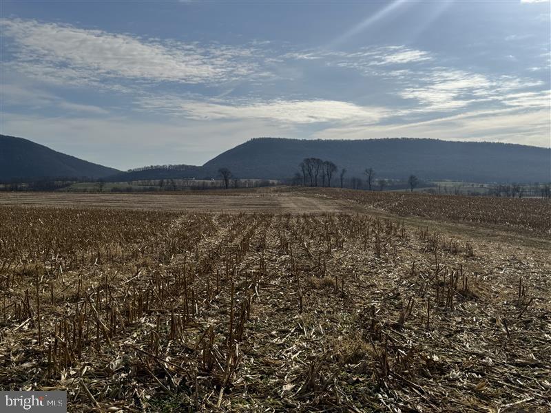 NONE AVAILABLE - Farm