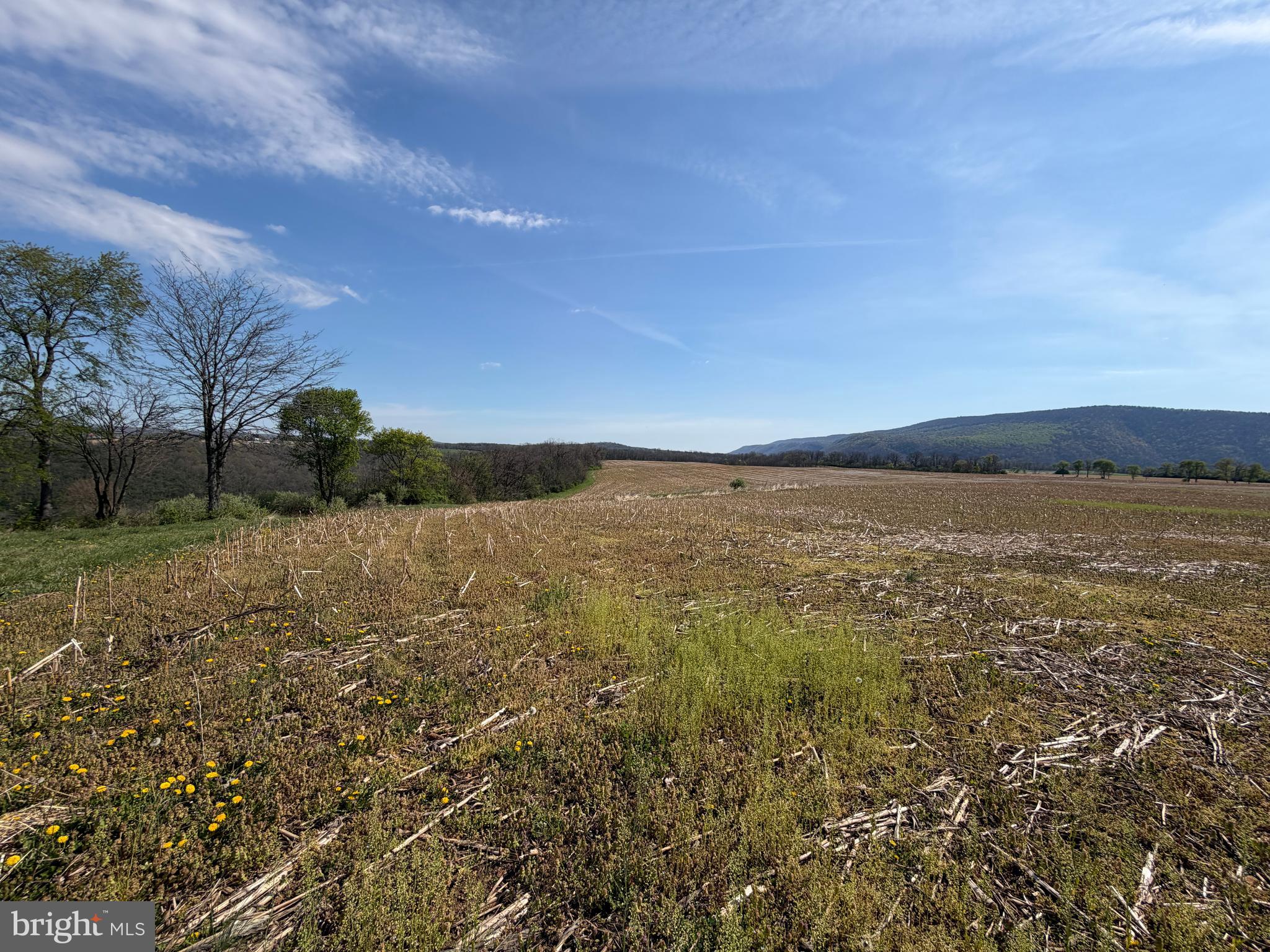 NONE AVAILABLE - Farm